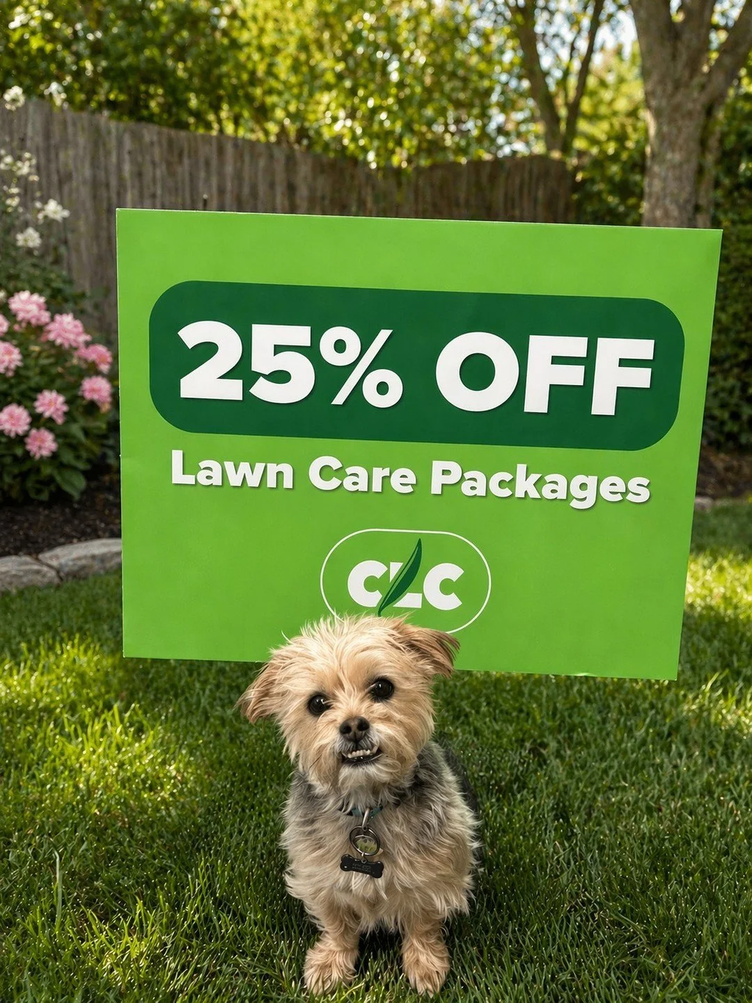 🐾 Meet Teddy, our official office supervisor&hellip; and spokes-dog for savings 🌱

Right now, Custom Lawn Care is offering **25% OFF all lawn care packages** &mdash; and Teddy insists your lawn deserves it.

Whether your yard needs a little boost o