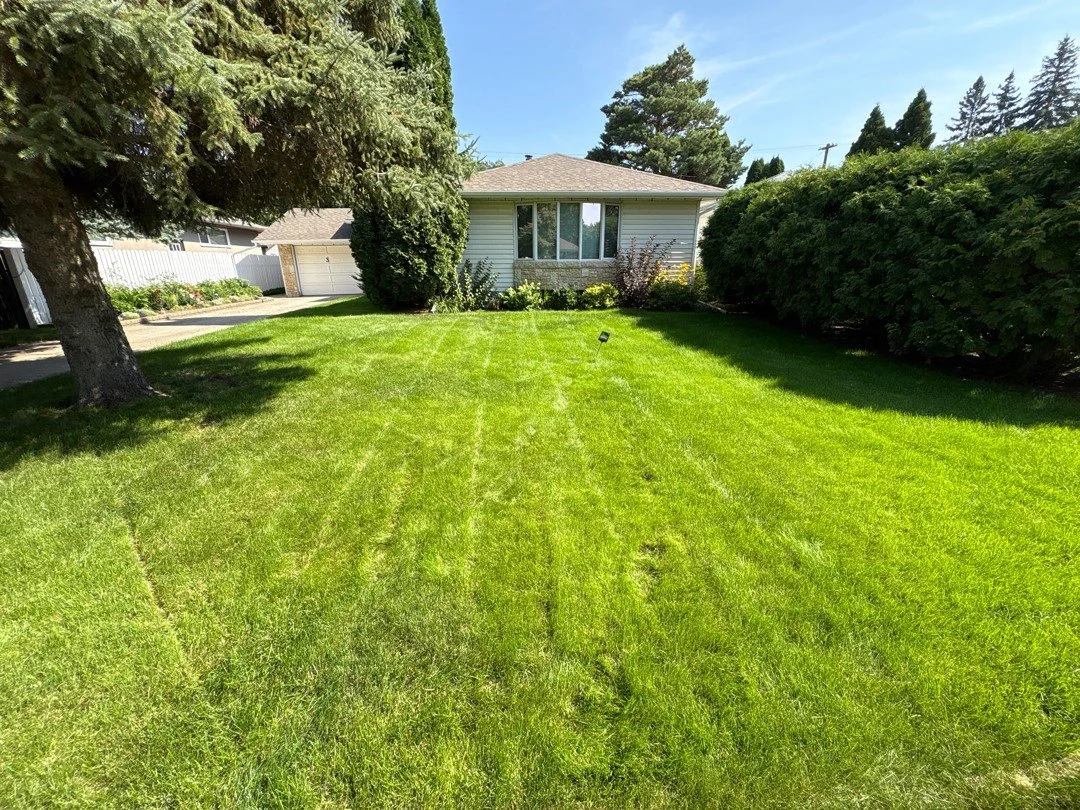 ⏳ Only 24 hours left!

Our Spring Savings Discount is about to end.
Don&rsquo;t miss your chance to secure the best prices of the season.

📞 Call us today to book!

#LocalYXE #GreenerGrass #SpringSavings
