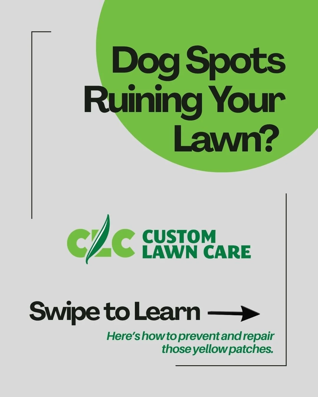 Dog spots happen &mdash; but they don&rsquo;t have to ruin your lawn 🐶🌱

Those yellow patches are usually caused by concentrated nitrogen in dog urine, but with the right lawn care habits, you can prevent damage and repair spots quickly.

You can h