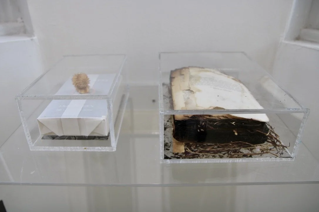 George Glenn, "The Return of Spring," 2000, plexiglass shelf with two etches plexiglass boxes, two books, burnt twigs, and an angel of death seed pod, shelf: 14 x 19.75," Box #1: 8 x 5 x 4," Box #2: 11 x 8 x 3"