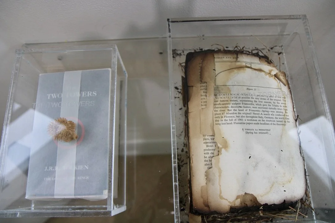 George Glenn, "The Return of Spring," 2000, plexiglass shelf with two etches plexiglass boxes, two books, burnt twigs, and an angel of death seed pod, shelf: 14 x 19.75," Box #1: 8 x 5 x 4," Box #2: 11 x 8 x 3"