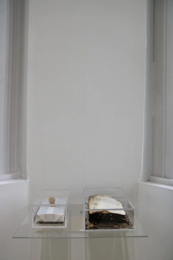 George Glenn, "The Return of Spring," 2000, plexiglass shelf with two etches plexiglass boxes, two books, burnt twigs, and an angel of death seed pod, shelf: 14 x 19.75," Box #1: 8 x 5 x 4," Box #2: 11 x 8 x 3"