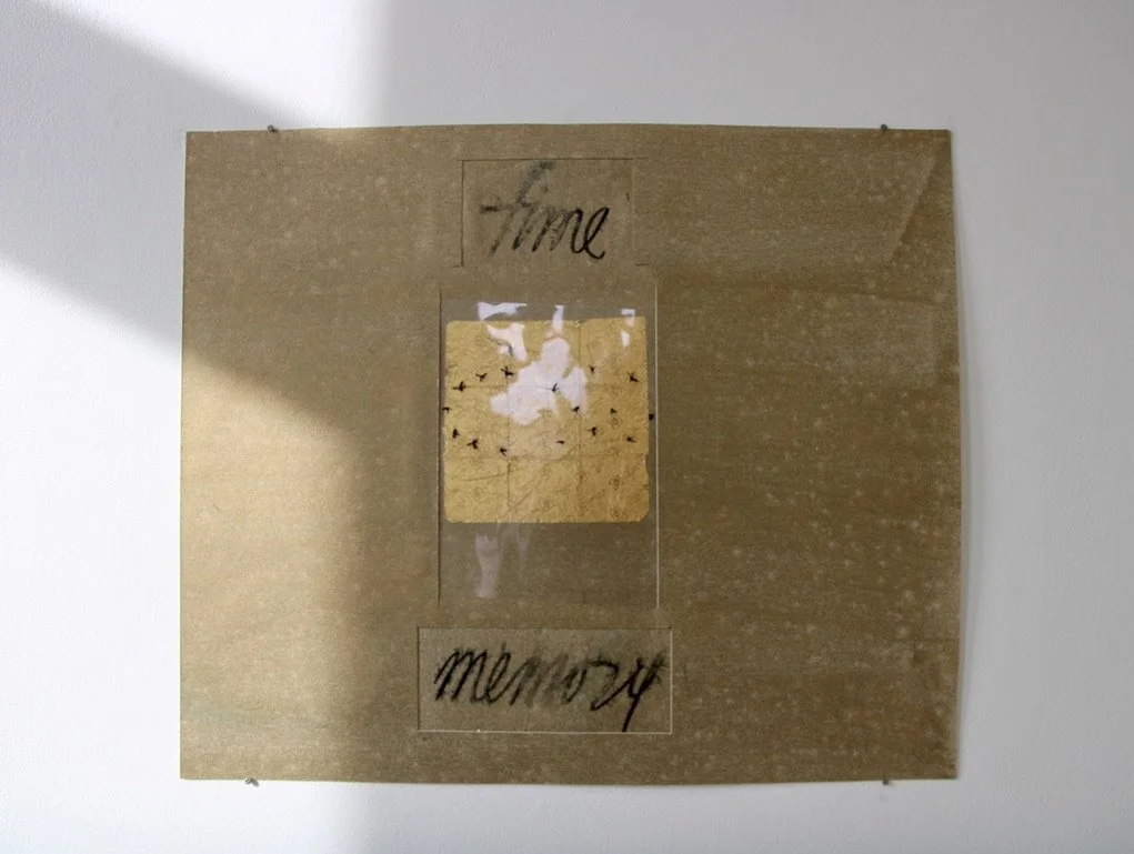 George Glenn, "Time and Memory: Mosquito Halo," 1990, acrylic on paper with transparency sheet, 19.75 x 22.5"