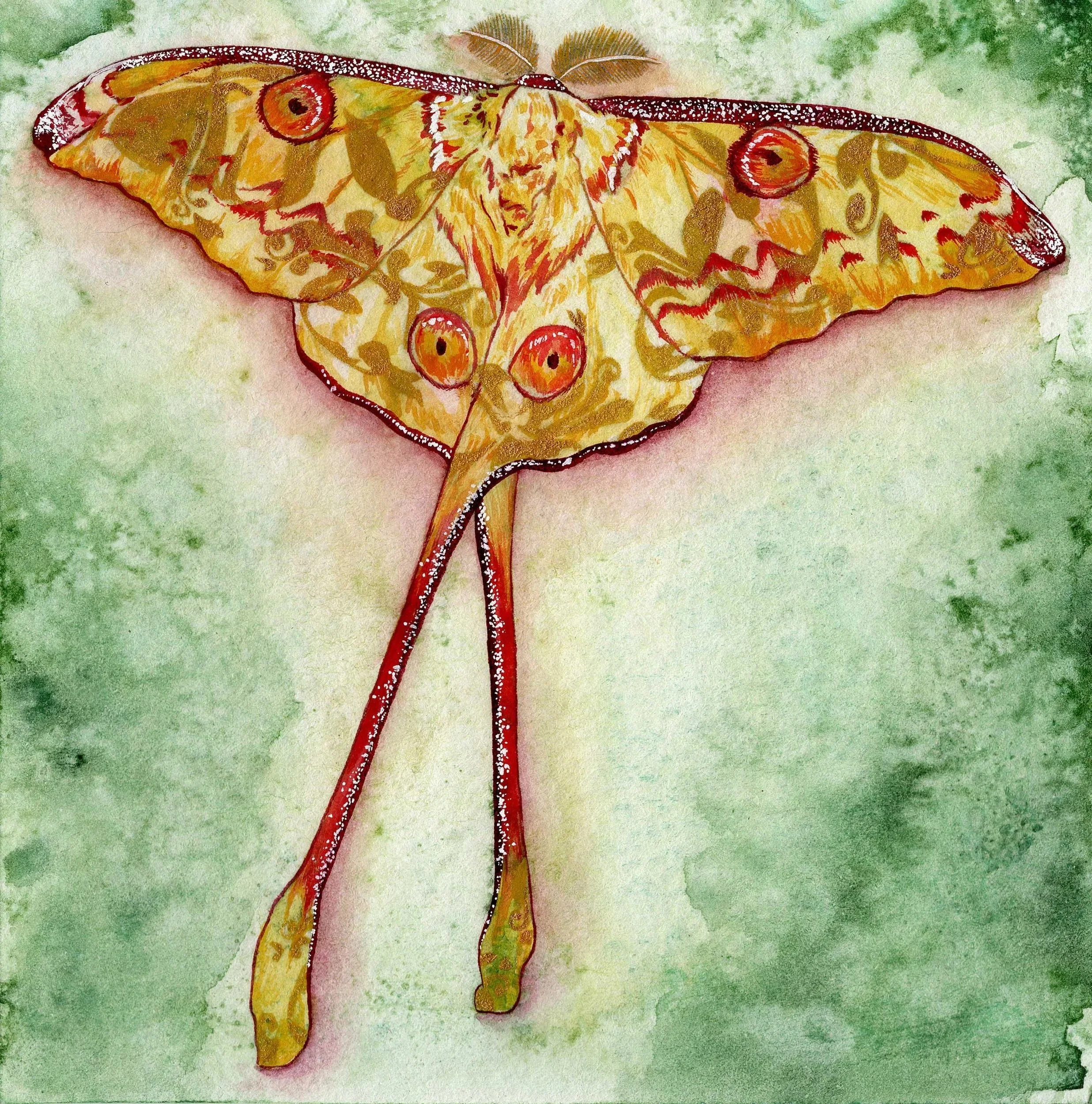 The Gossamer Gentry🟢