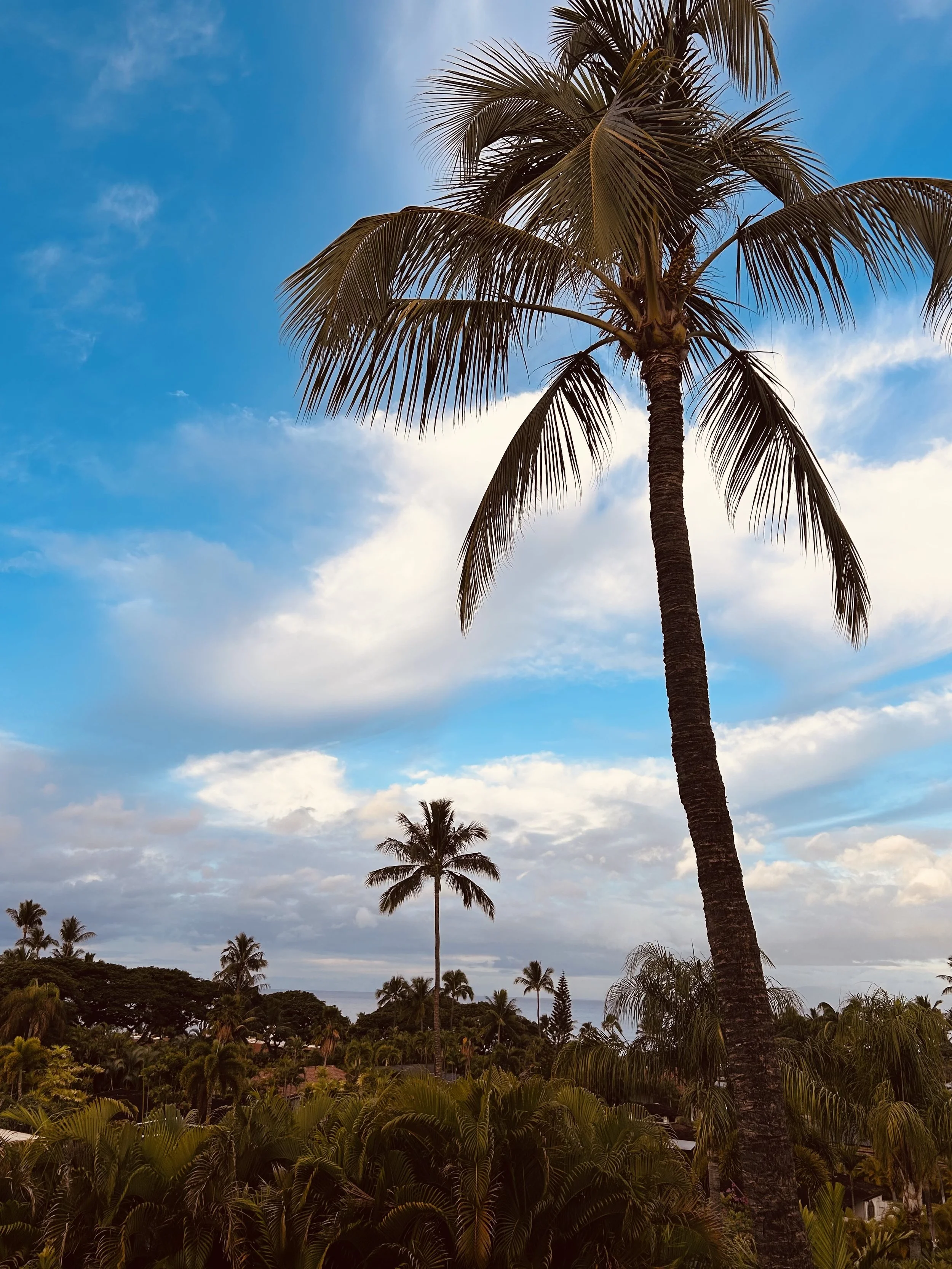 The Embodied Alignment Package