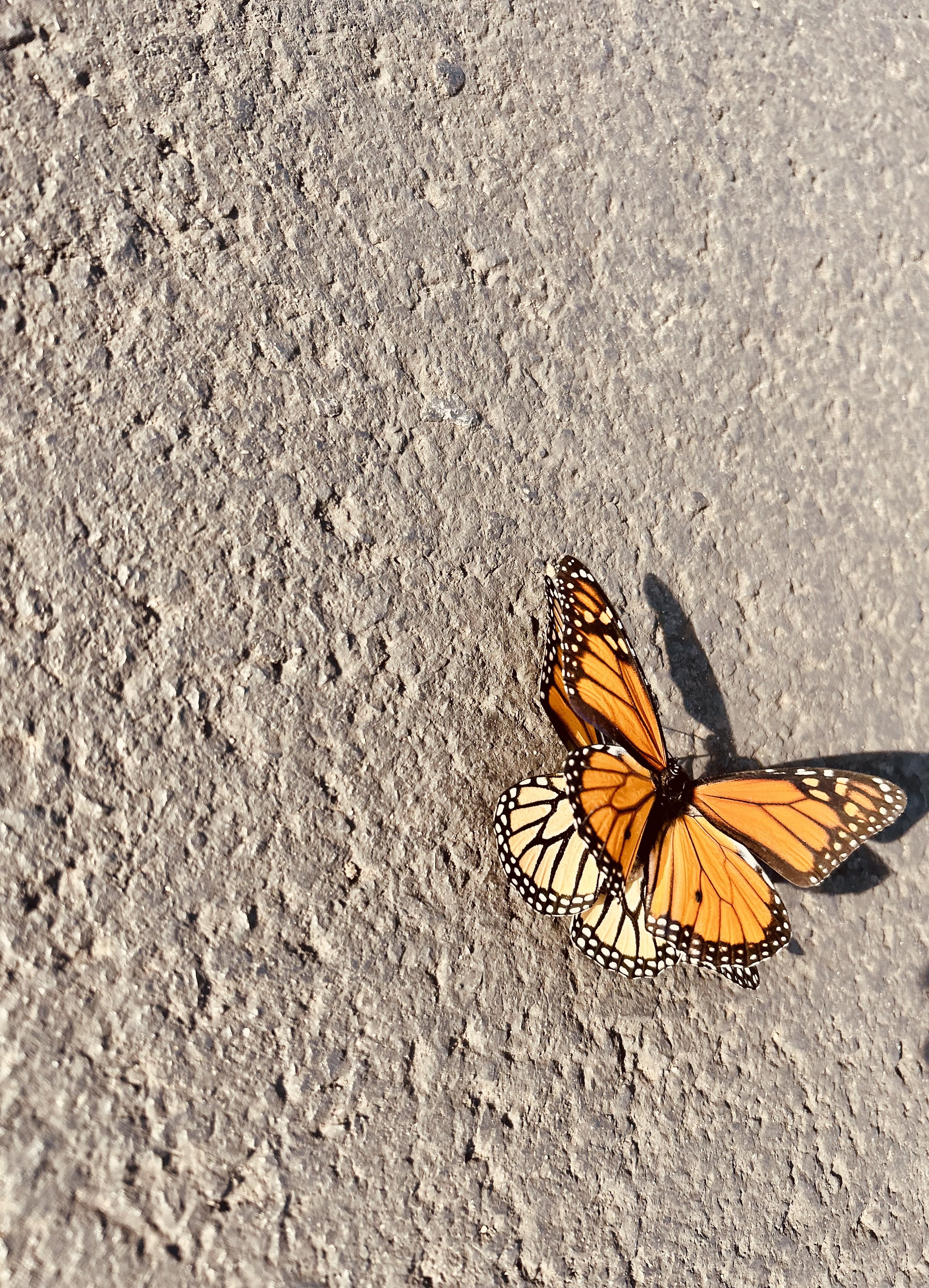 The Grounded Integration Package