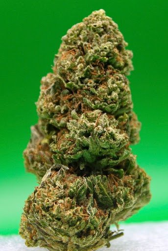 WEDDING RUNTZ (1 LB)