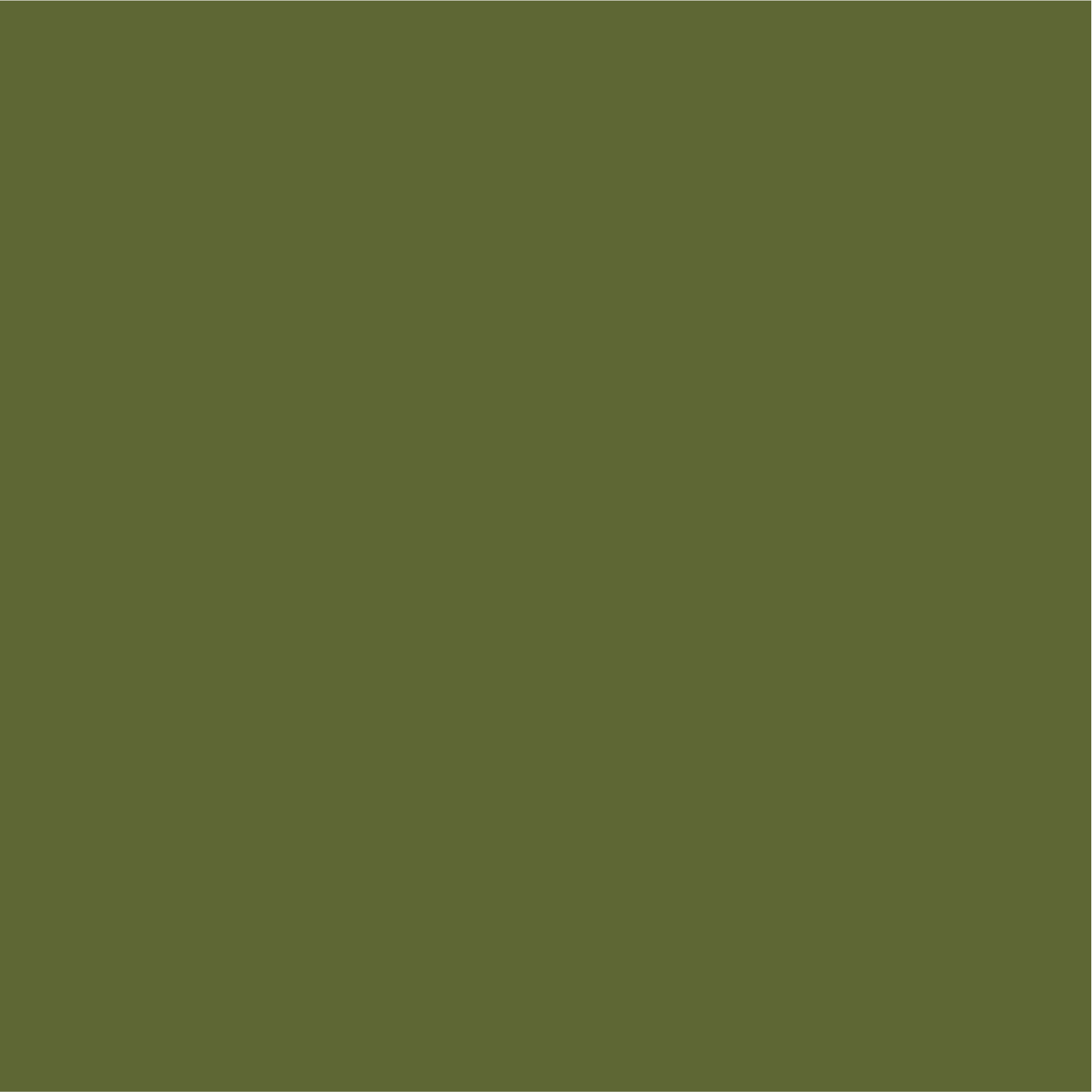Asset 48.png