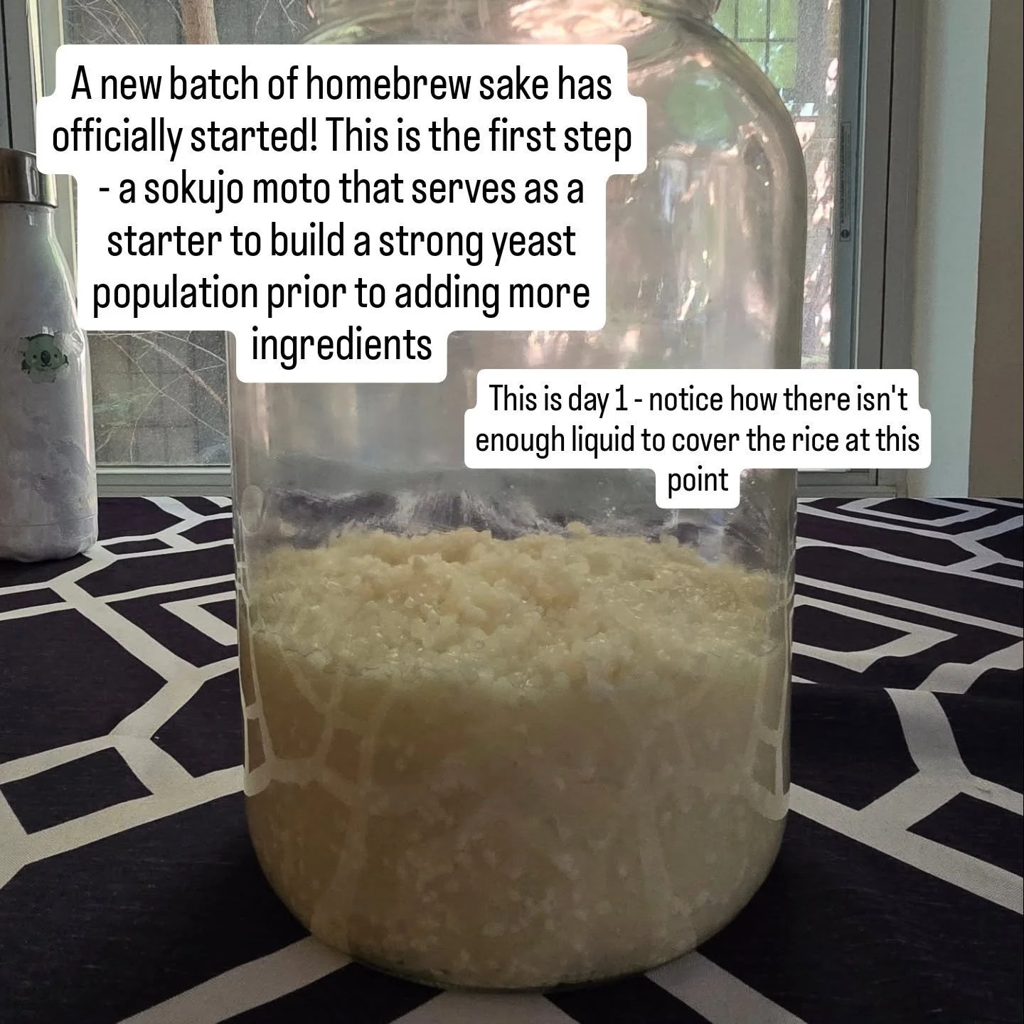 Another homebrew sake batch is in the works! This batch will be a Junmai Ginjo using 60% polish rice from @isbellfarms , homemade koji using spores from Higuchi in Japan, and Kyokai yeast #901.

The pictures you see here show the moto, or yeast start