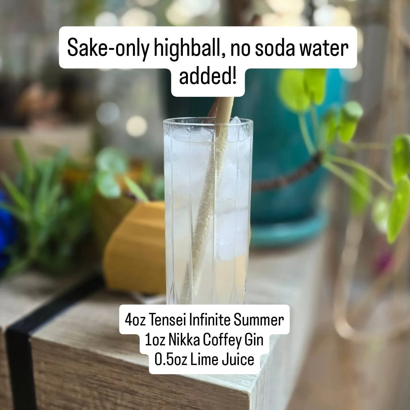 Sake highballs are tricky. Too much dilution and the drink tastes like soda water, but too little and it's just weak, flabby sake. 

Here I carbonated the @tenseishuzo Infinite Summer Tokubetsu Honjozo directly in a soda siphon with CO2. The result i