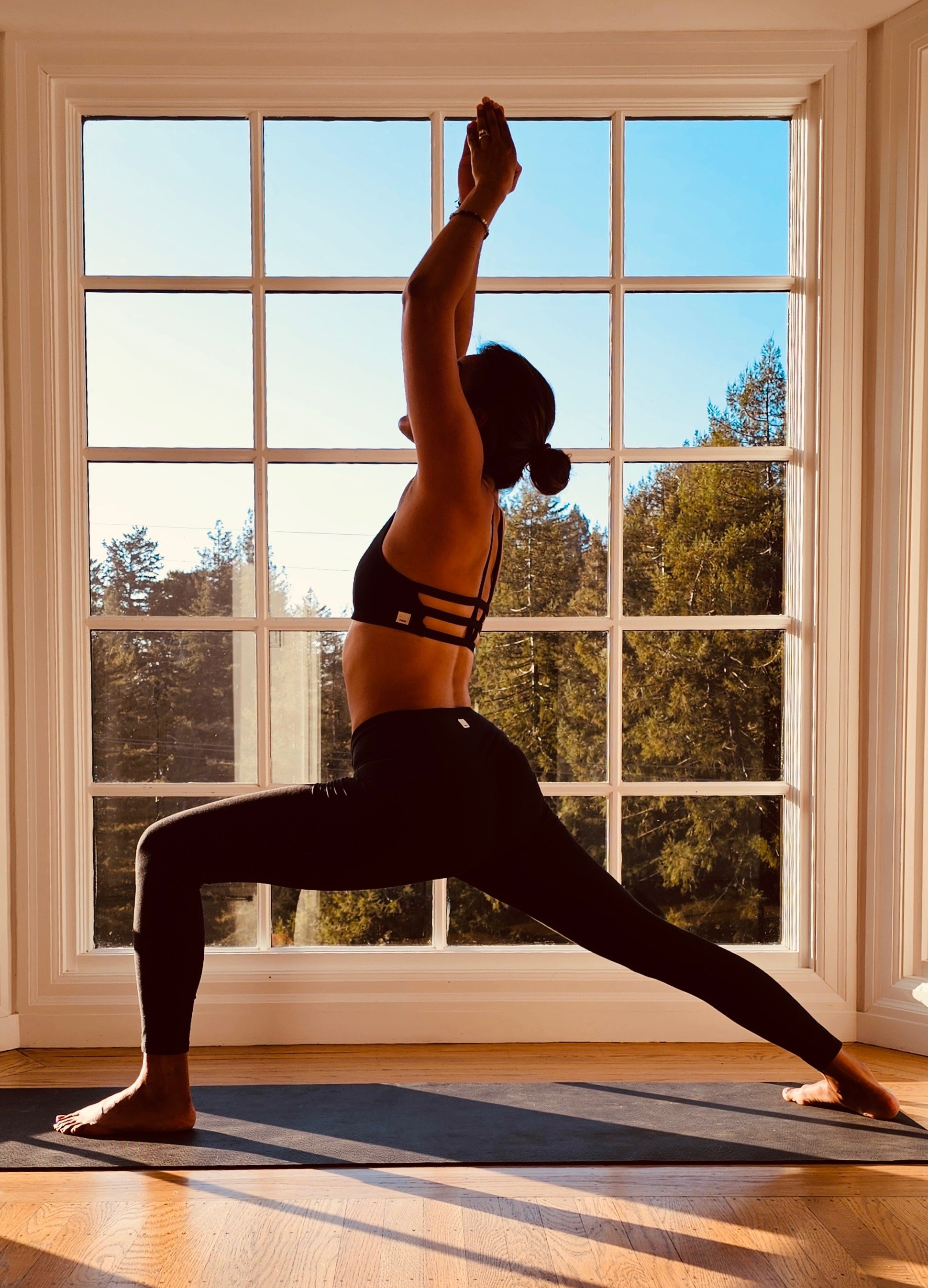 Ashtanga Vinyasa
