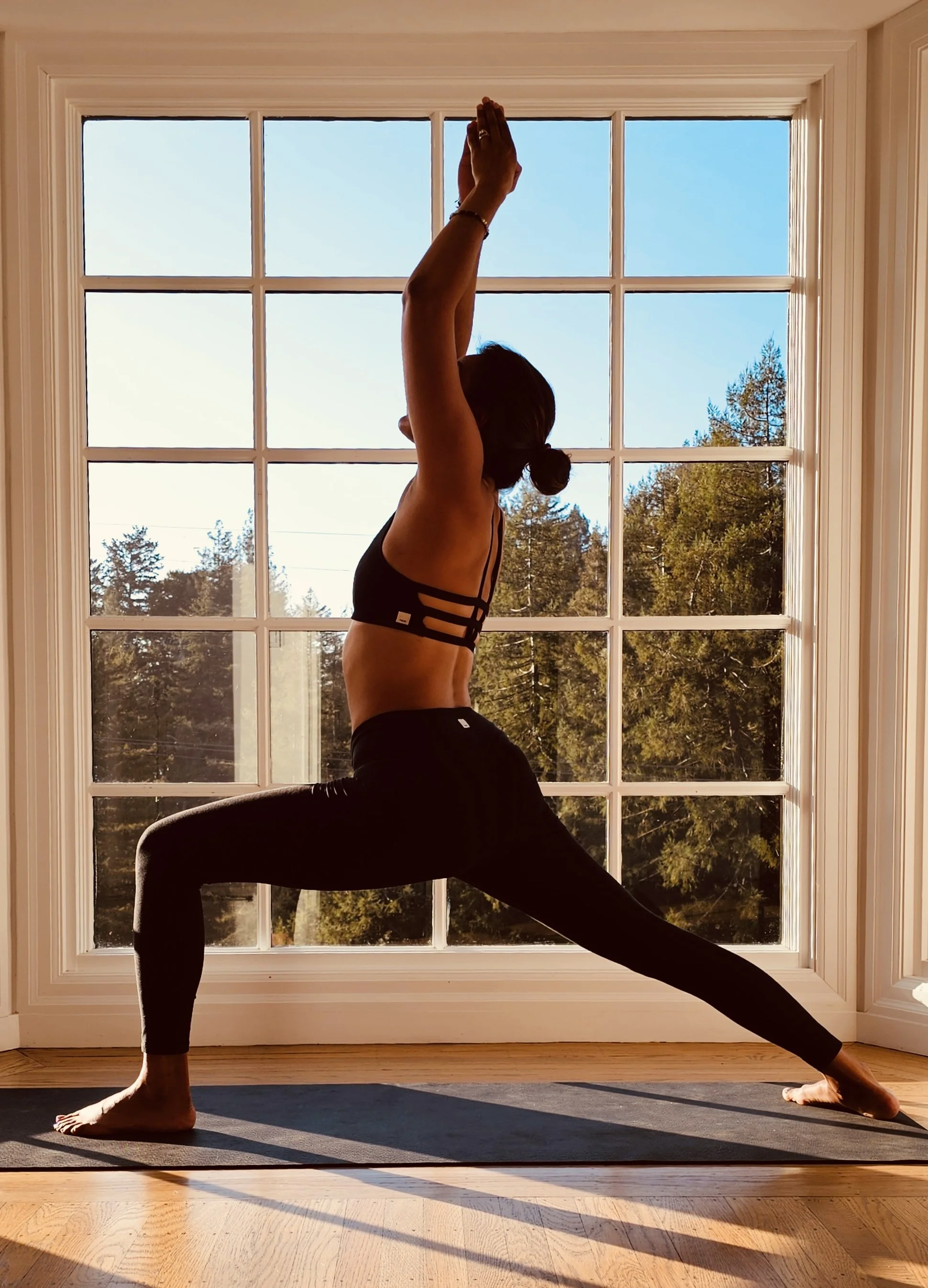 Ashtanga Vinyasa