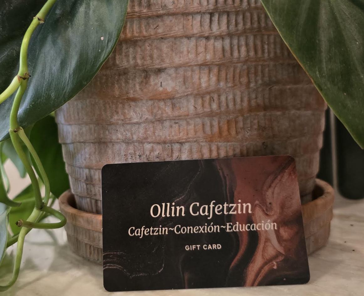 Screenshot 2025-12-28 143736.png