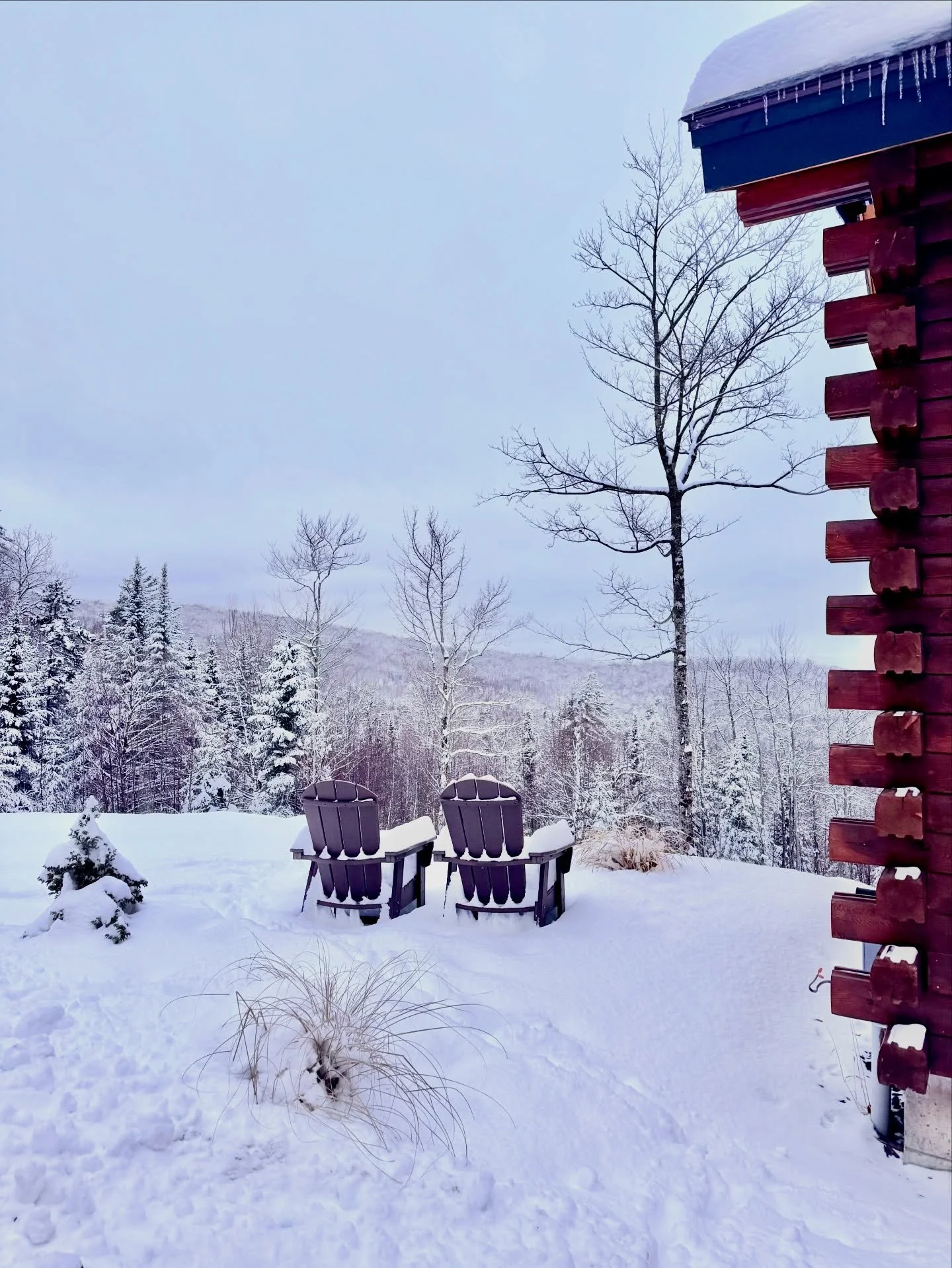 You may have heard this morning&rsquo;s moon called a &ldquo;Blood Moon&rdquo; for the lunar eclipse. 

As the first full moon of March, it&rsquo;s also our namesake, the &ldquo;Sugar Moon.&rdquo; 🌕🍁

The Sugar Moon, a traditional name used by Indi