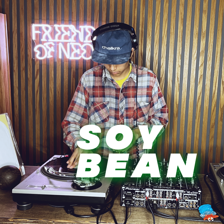 Soy Bean-All Vinyl = Indie dance, Electronic, Hip Hop &amp; Disco
