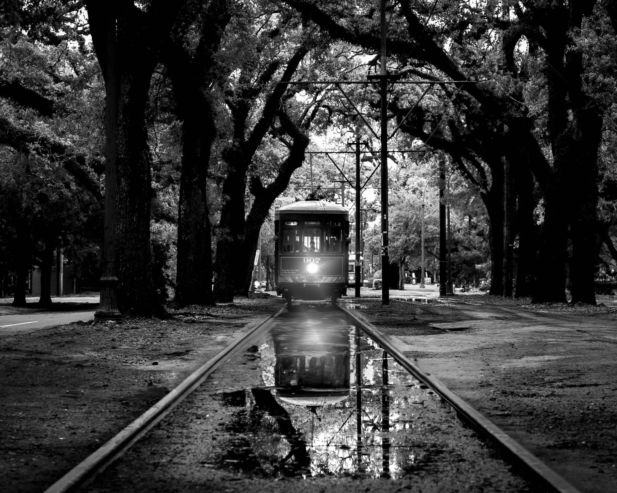 A black and white photo of a streetcar on railroad tracks surrounded by tall trees with dense foliage.