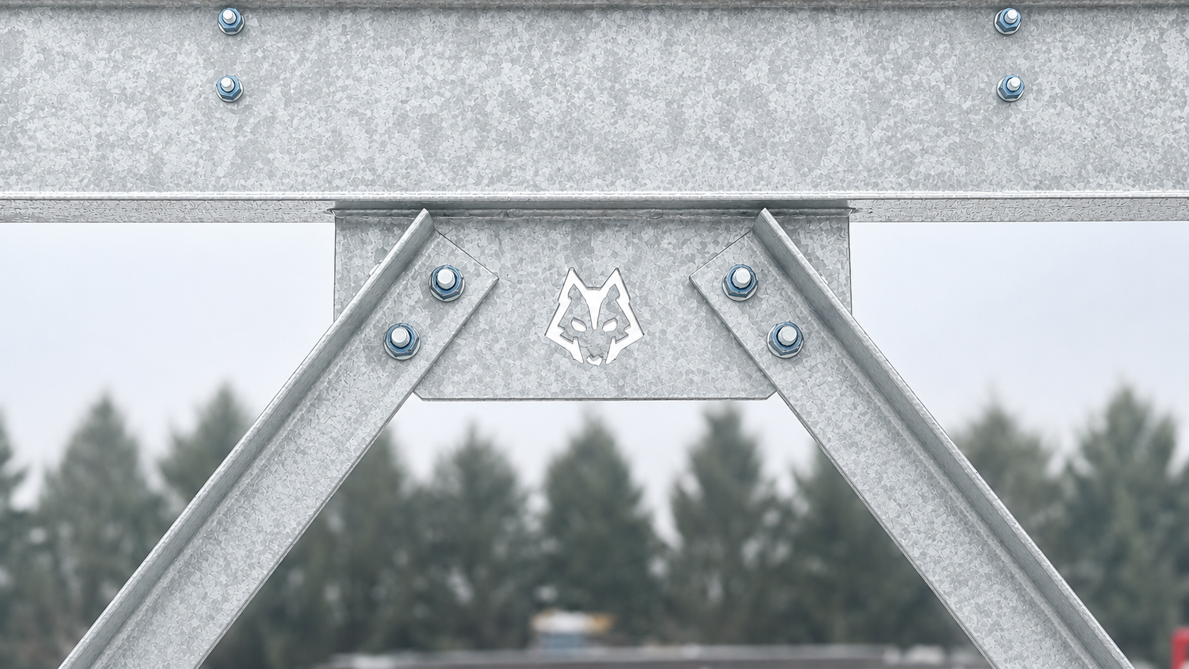 Alpha Logo Connection.png