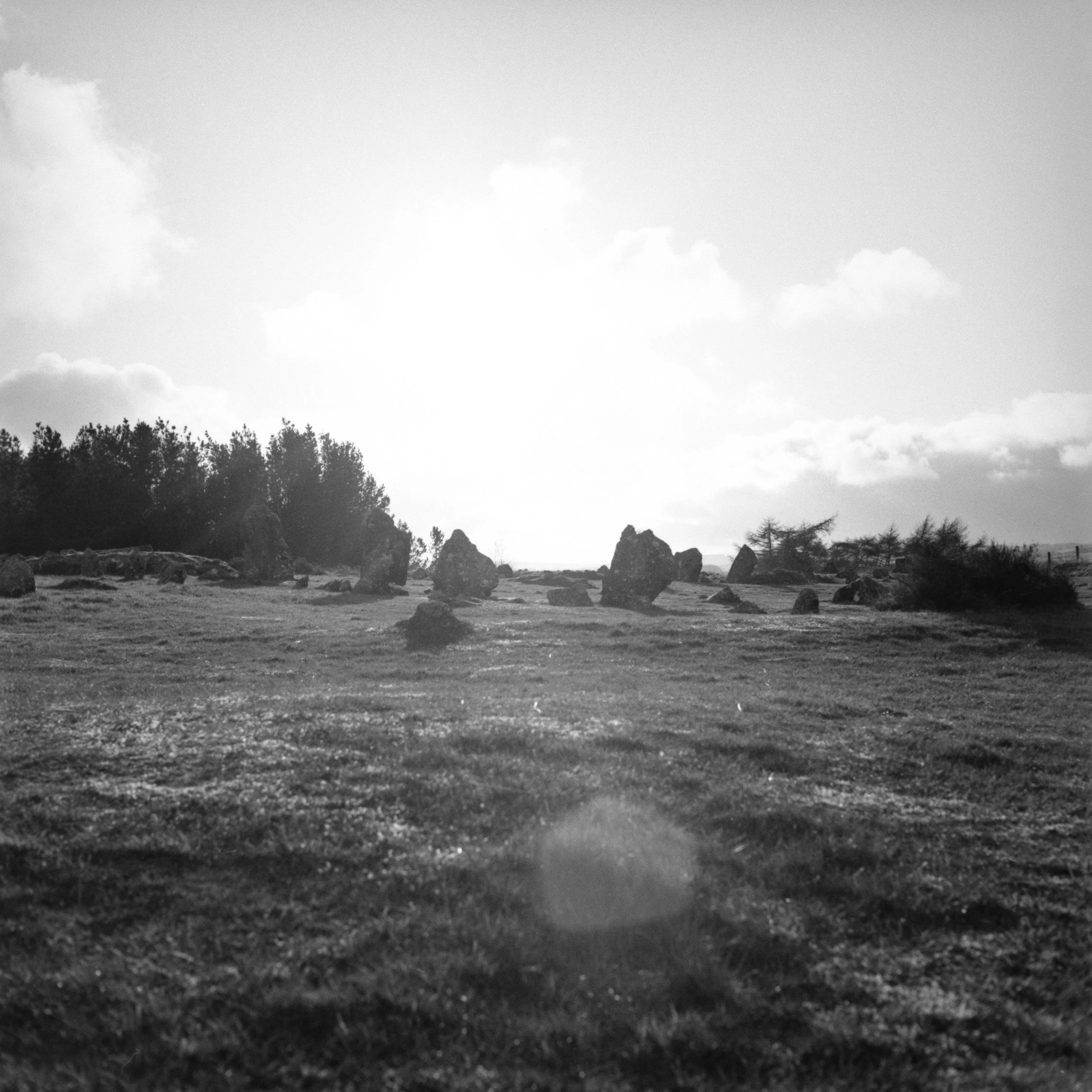 _MG_7426.jpg