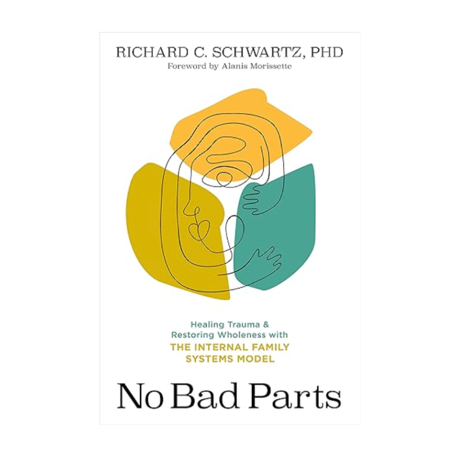 Image of No Bad Parts book cover