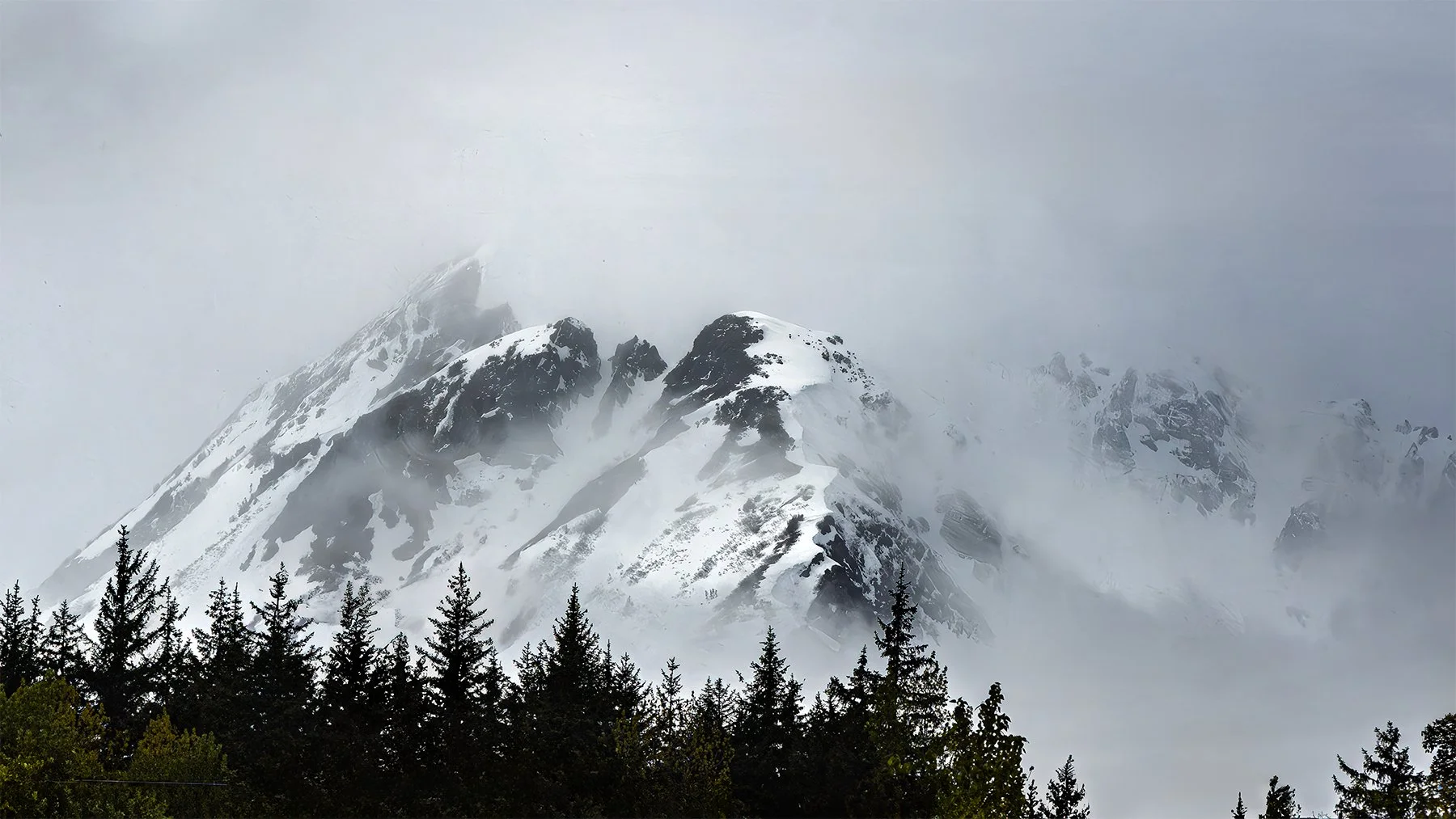 Snow-covered mountain with pine trees and mist
