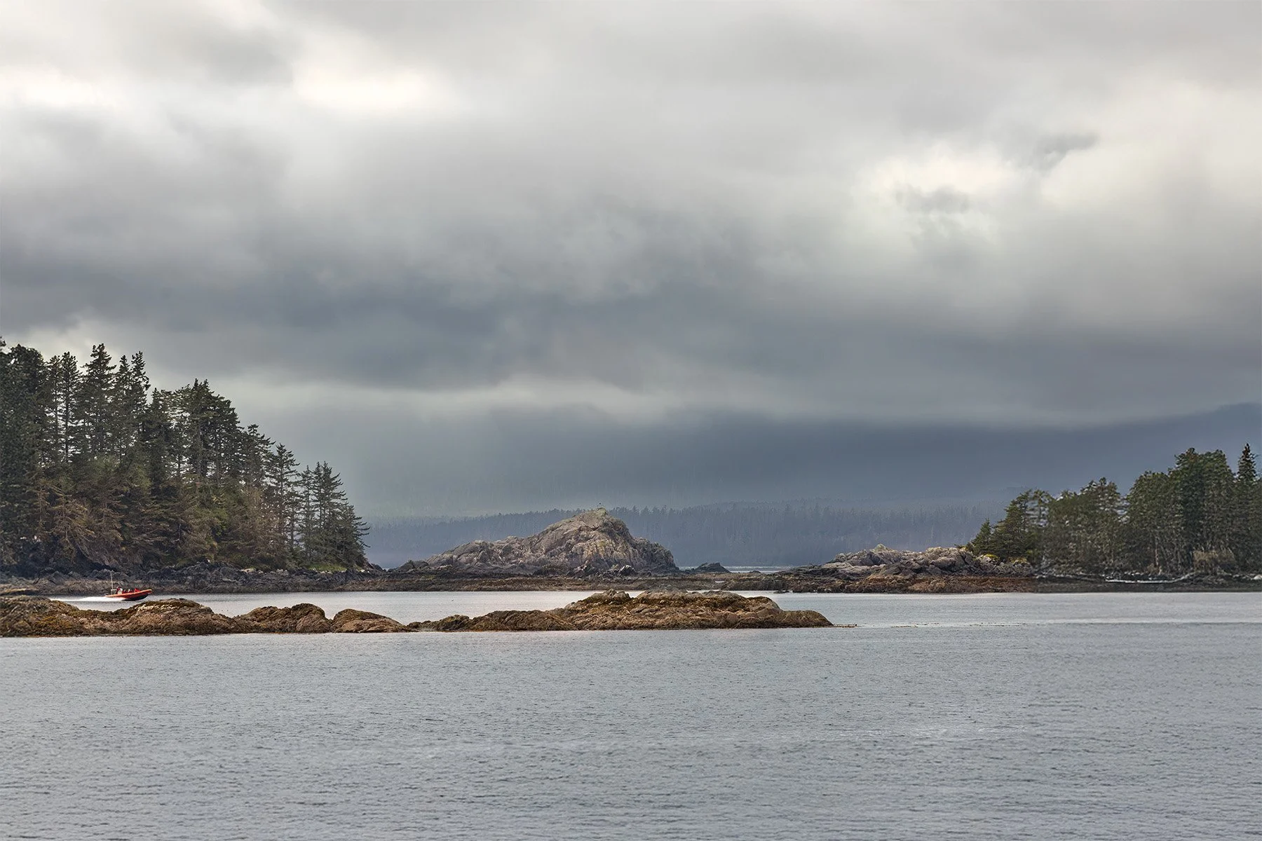 Coastal landscape with rocky shoreline, evergreen trees, and overcast sky.