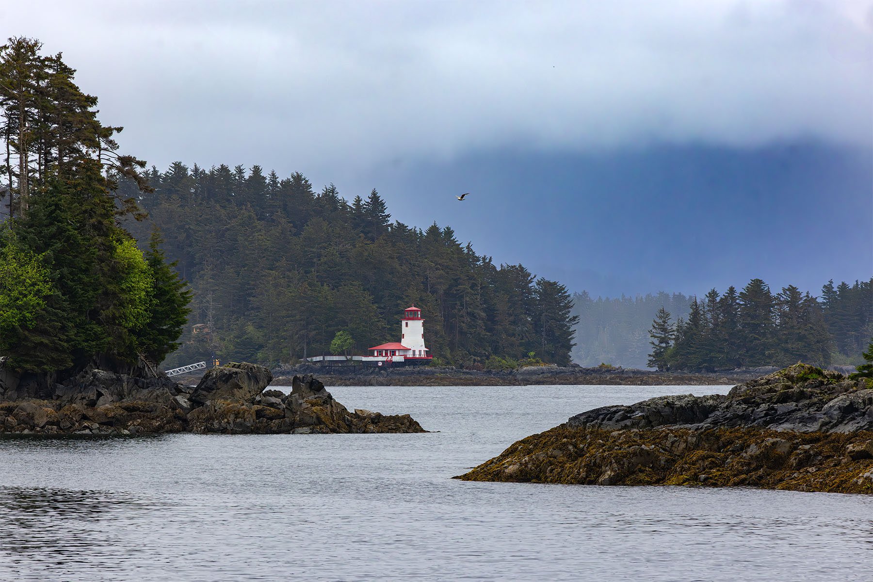 Scenic view of a lighthouse with red roof, surrounded by dense pine trees, rocky shoreline, and calm water under a cloudy sky.