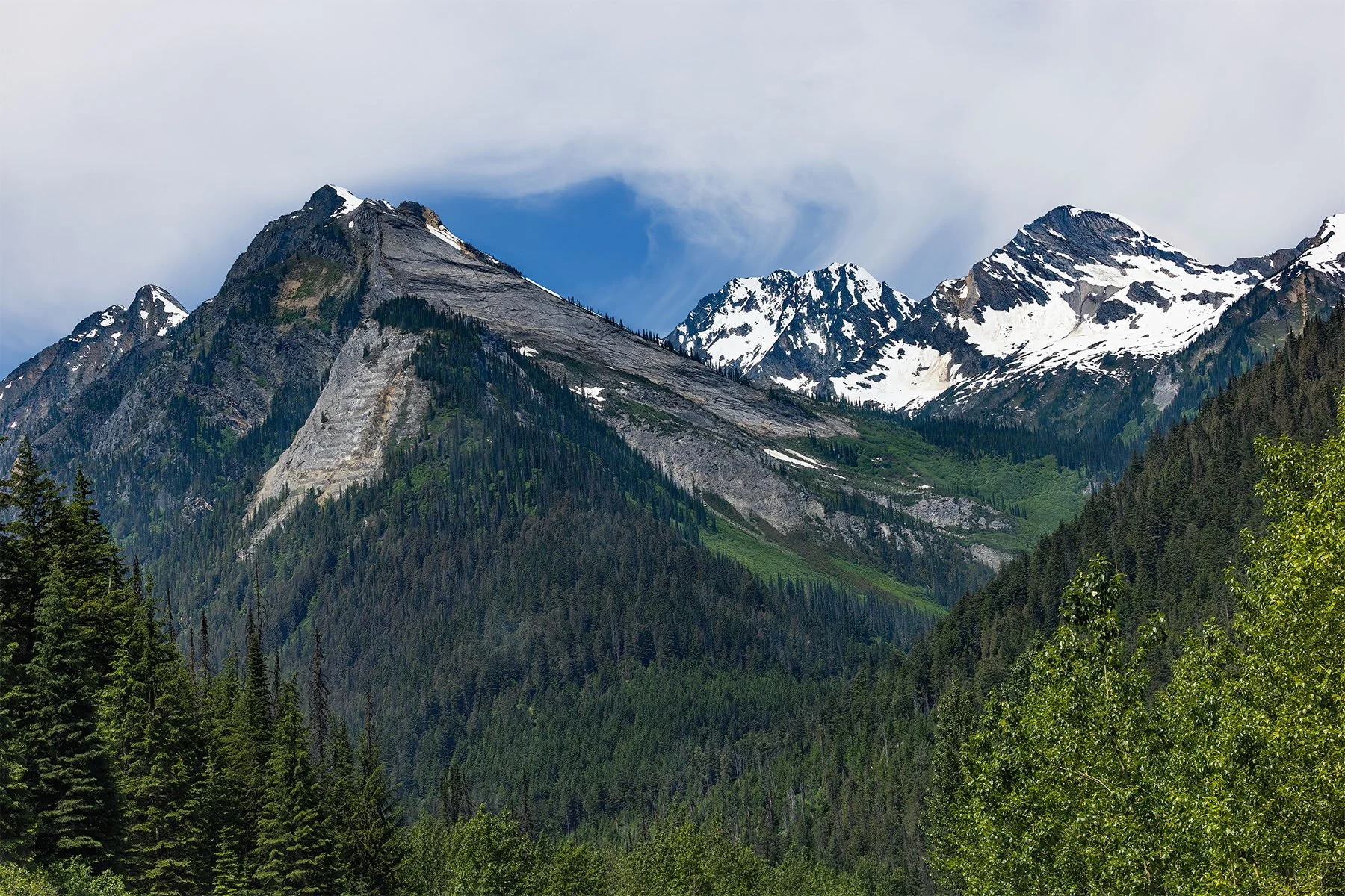 Snow-capped mountains with evergreen forest in foreground under partly cloudy sky.