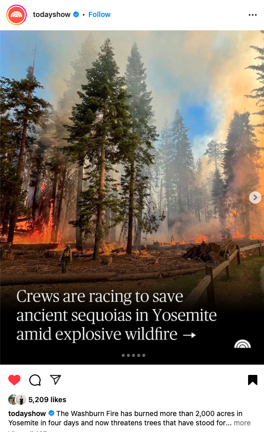 Wildfire