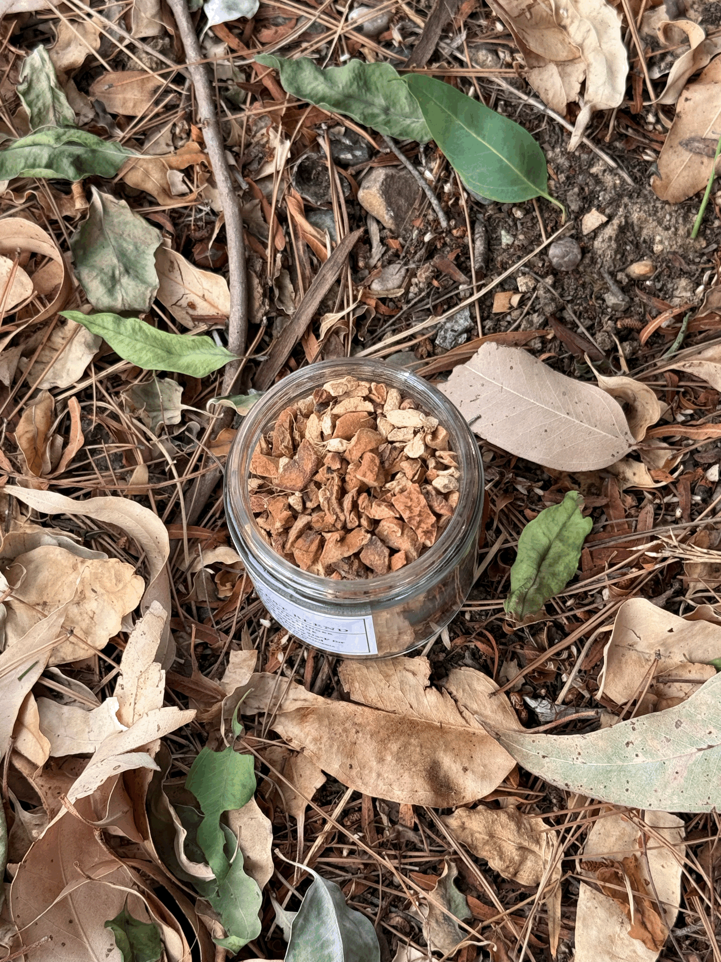 Autumn's Harvest Herbal Blend