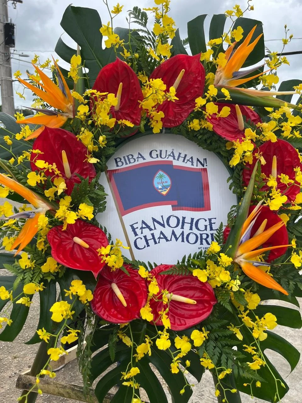 WhatsApp Image 2025-07-14 at 11.45.38 AM.jpeg