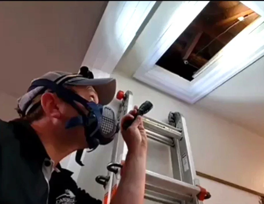 Shaun - Homebridge.jpeg