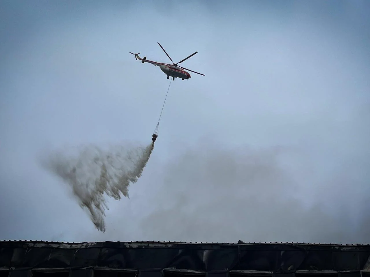 SESU News of the Week 5.12. – 12.12.2025