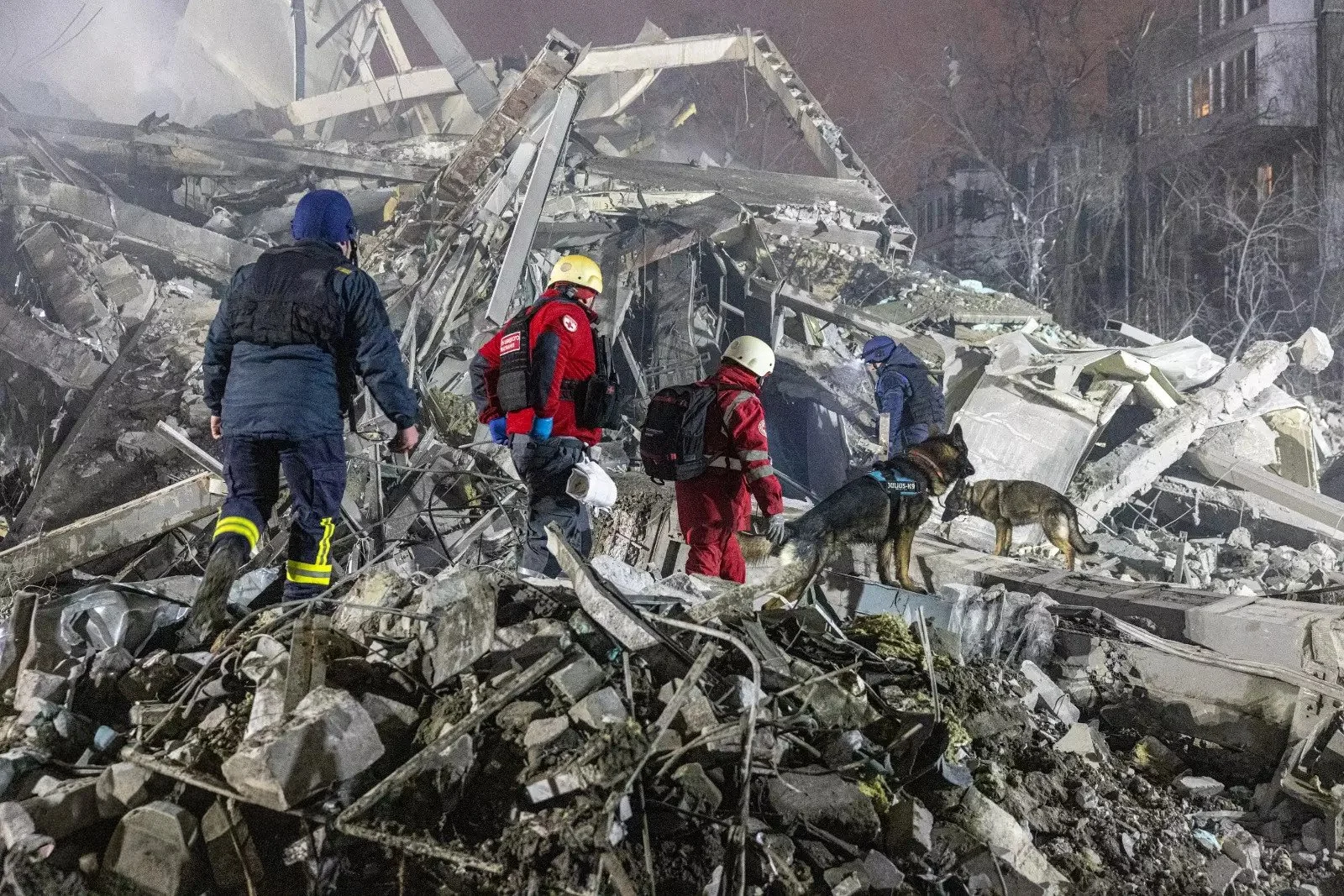 SESU News of the Week 02.01 – 09.01.2026