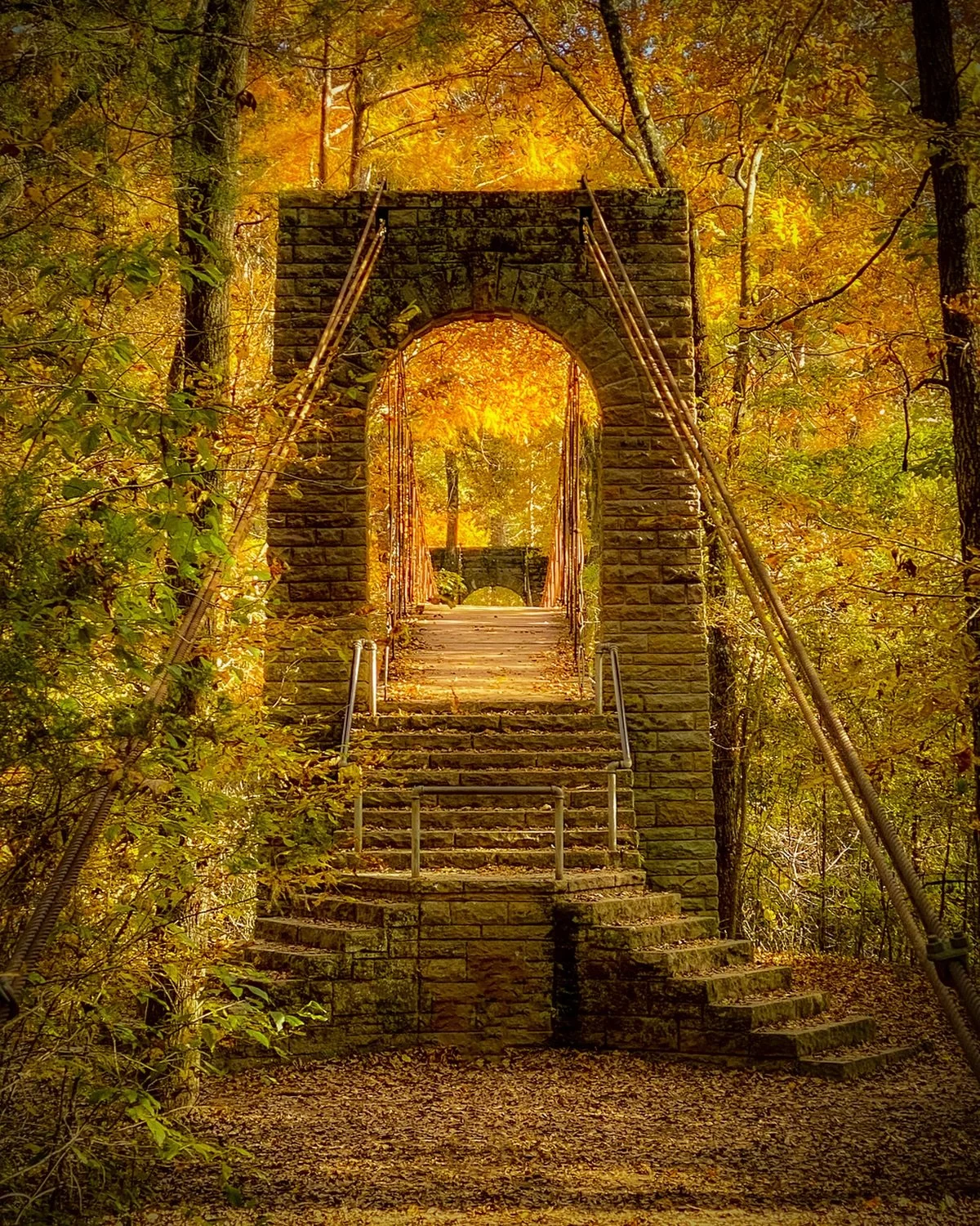 Stepping Into Magic.
.
The portal awaits 
Pathway of golden splendor 
Step Into Magic.
.
The hike that lead me to create this image was such a surprise. We were staying in Alabama, waiting for our RV to be repaired when I decided to take a break and 