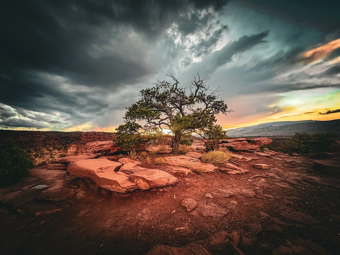 Tree on the Rocks.
.
Captured in Capitol Reef National Park.
.
#solitarytree #utahlandscape #capitolreefnationalpark #nps #nationalparks #fineartphotographer