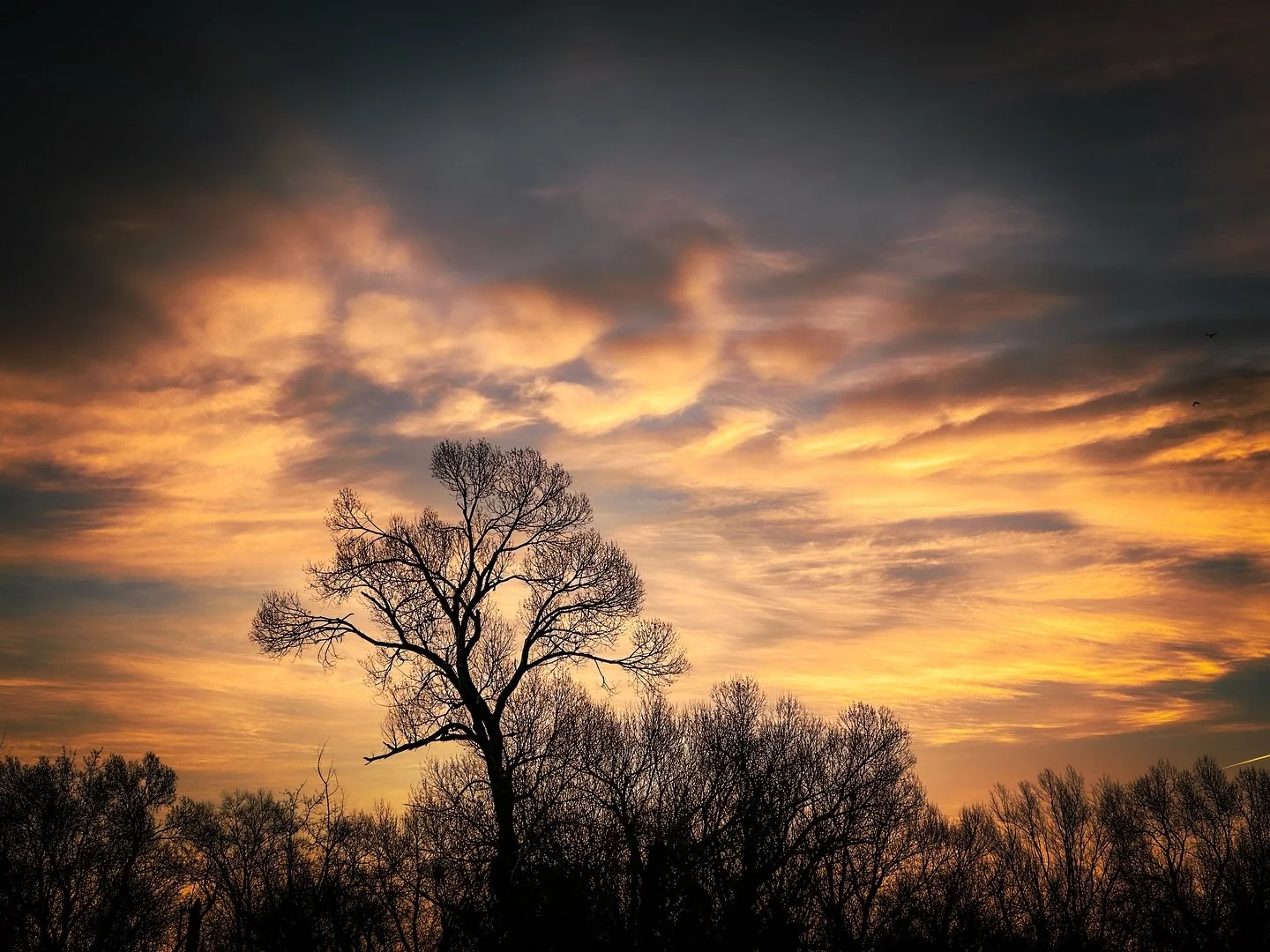 November Sky.
.
With a chill in the air, I hiked out on the trails of the Kingery Nature Center at dawn. I was already awake, having to drive my daughter to the airport at an ungodly hour. The sun had yet to rise, but still cast a golden color on the