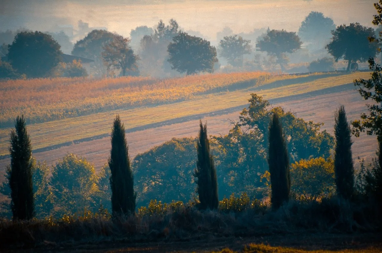 Under the Tuscan Fog.
.
#tuscany #foggymorning #italylandscape #travelphotographer #fineartphotographer