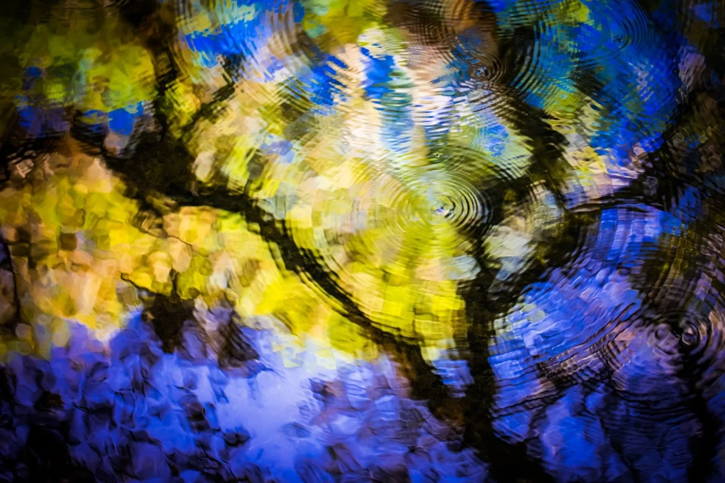 River Echoes
.
Walking along the river at Hillsborough River State Park, I was capturing the reflections of the cypress trees when I looked down and saw these magical ripples on top of the reflection. I chose to focus on the ripples, leaving the tree