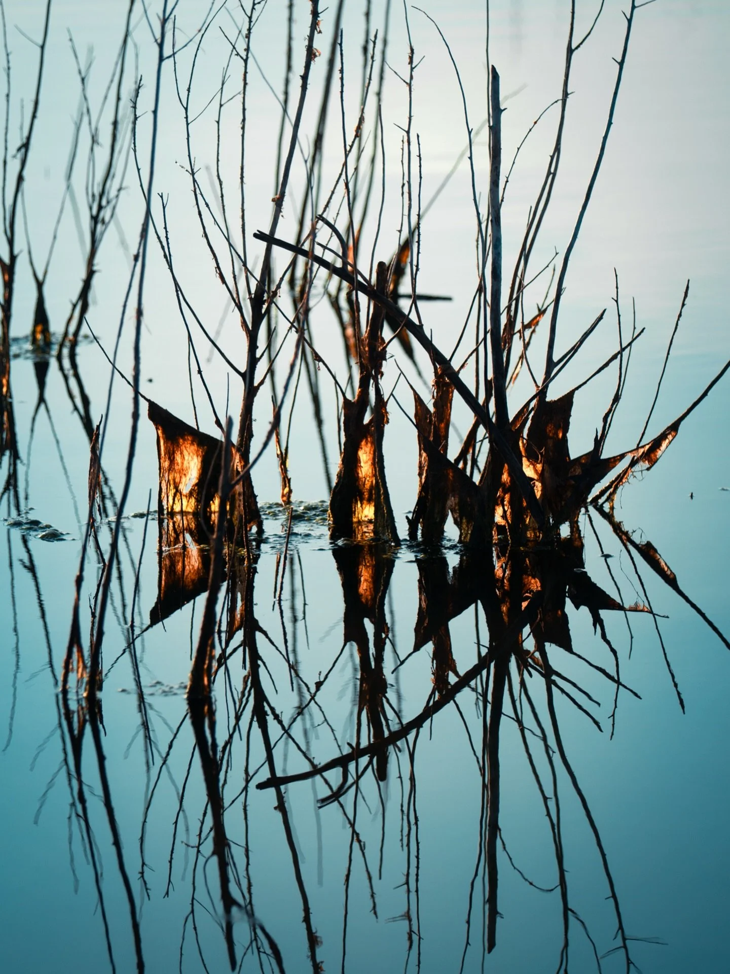 Embers and Glass.
.
Amber light shines through 
Cool stillness of the water
Holding the tension.
.
#abstractnature #contemporaryart #fineartphotographer