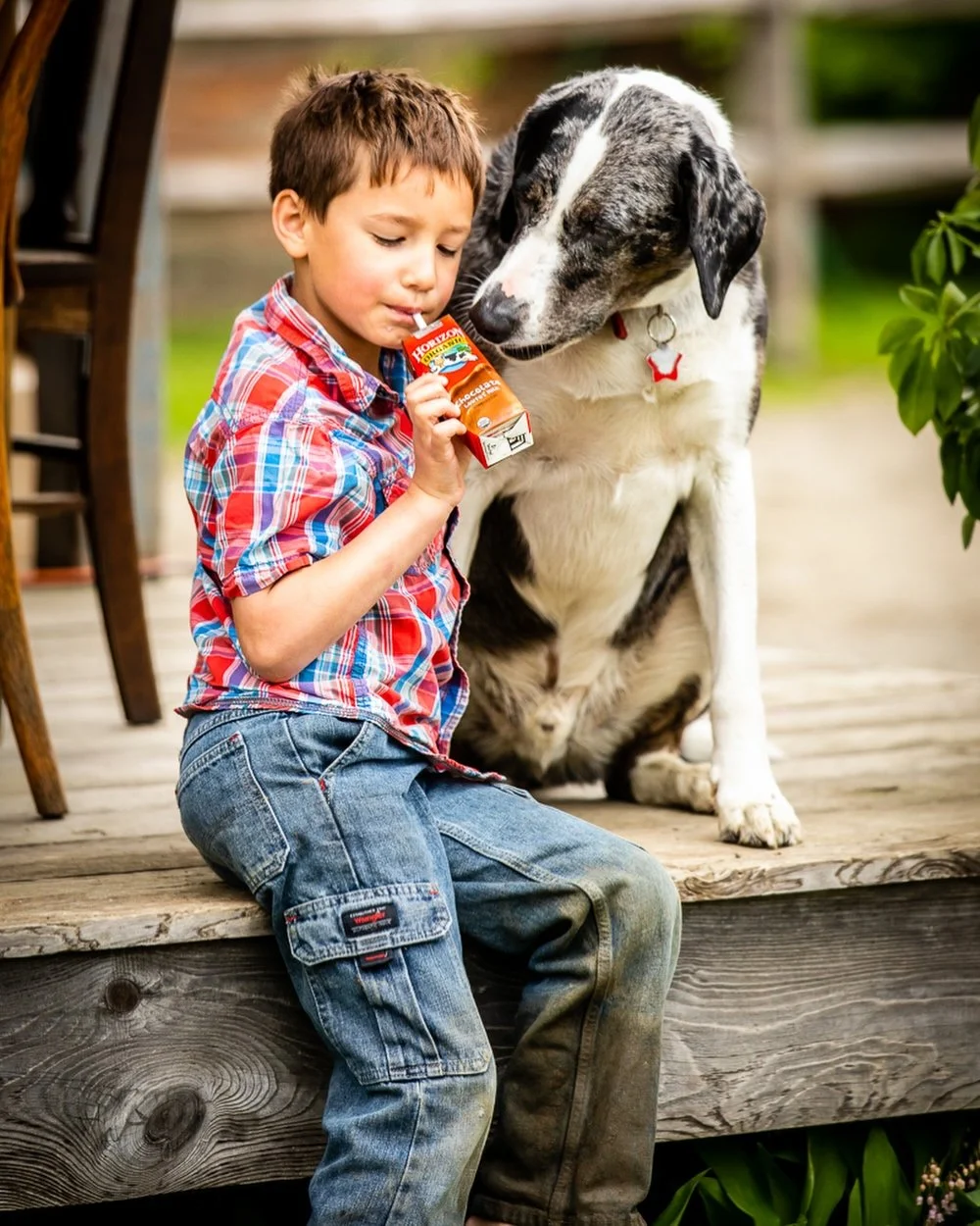 One of my favorite shoots&hellip;providing video and photo content for Horizon Organic on dairy farms throughout Vermont.
 
#visualcontentcreation #commercialphotographer #brandphotographer