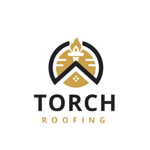 Logo for Torch Reborn featuring a stylized torch inside a circular emblem with black and gold colors and the words 'TORCH REBORN' at the bottom.