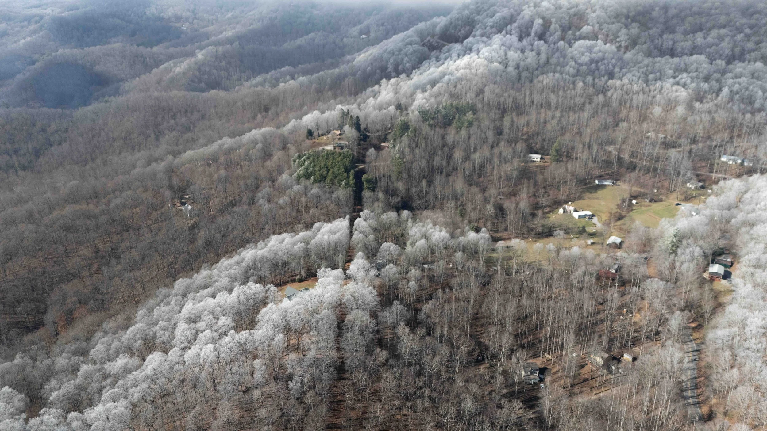 Aerial view of a mountainous landscape covered in winter trees with some houses and roads scattered throughout.