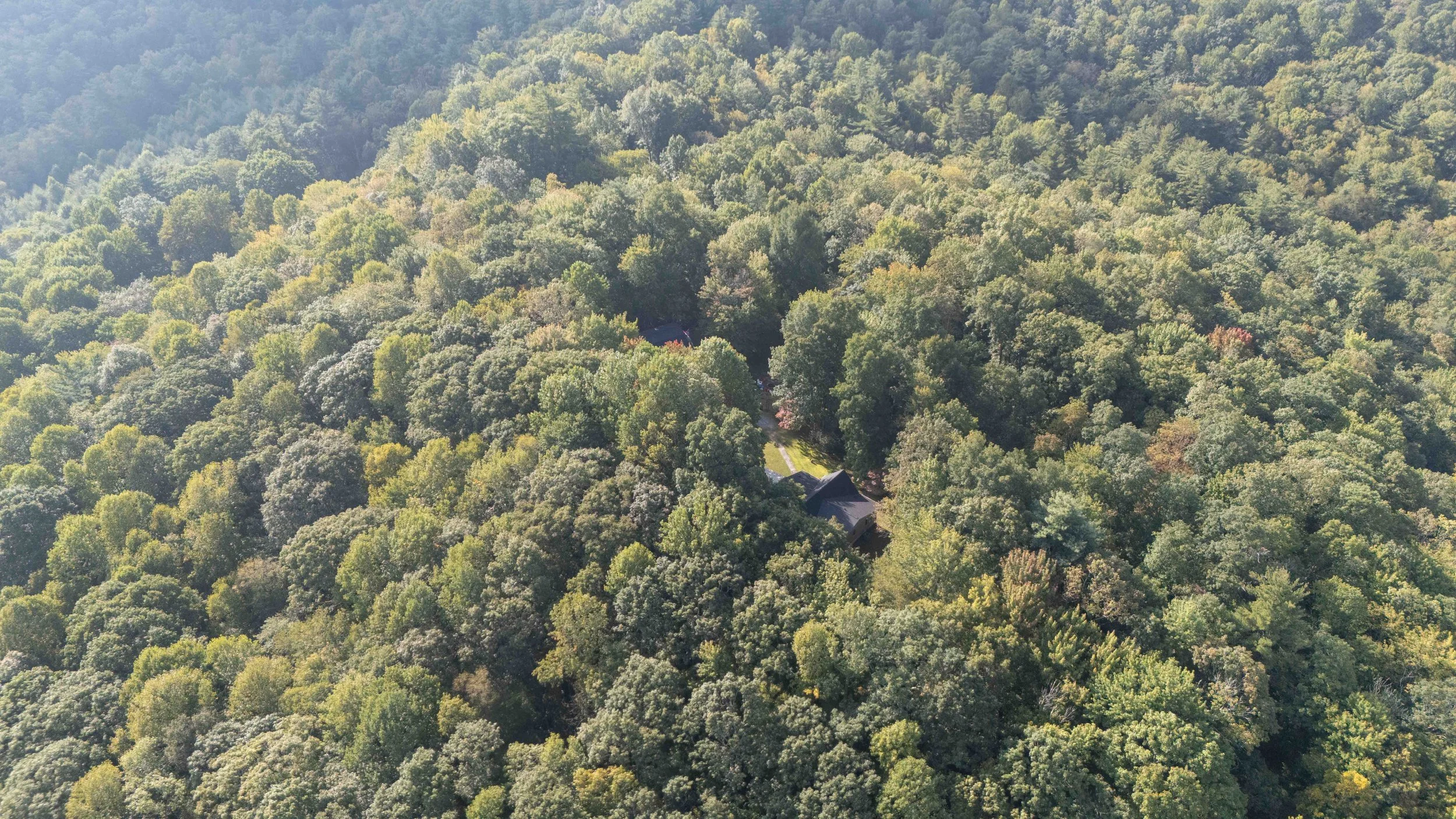 Aerial view of a dense forest with various shades of green and a house partially visible with a dark roof among the trees.