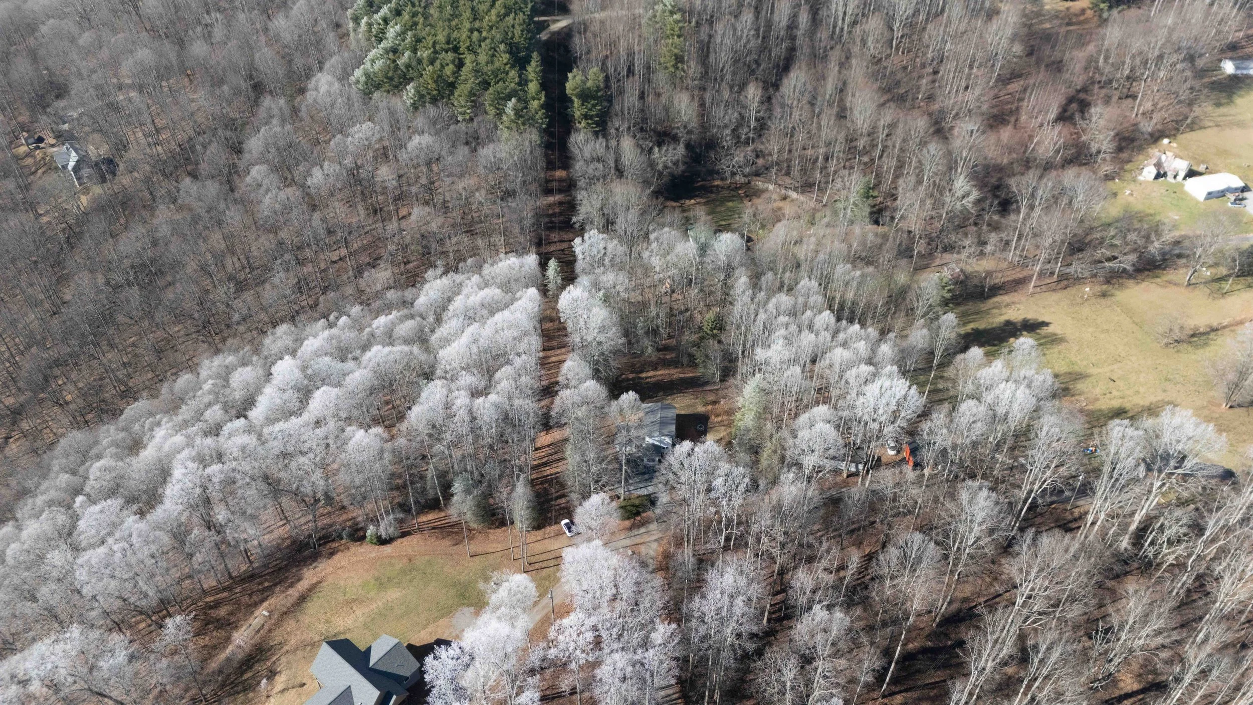 Aerial view of a wooded area with mostly leafless trees and a few evergreen trees, around residential houses and open grassy areas during winter.
