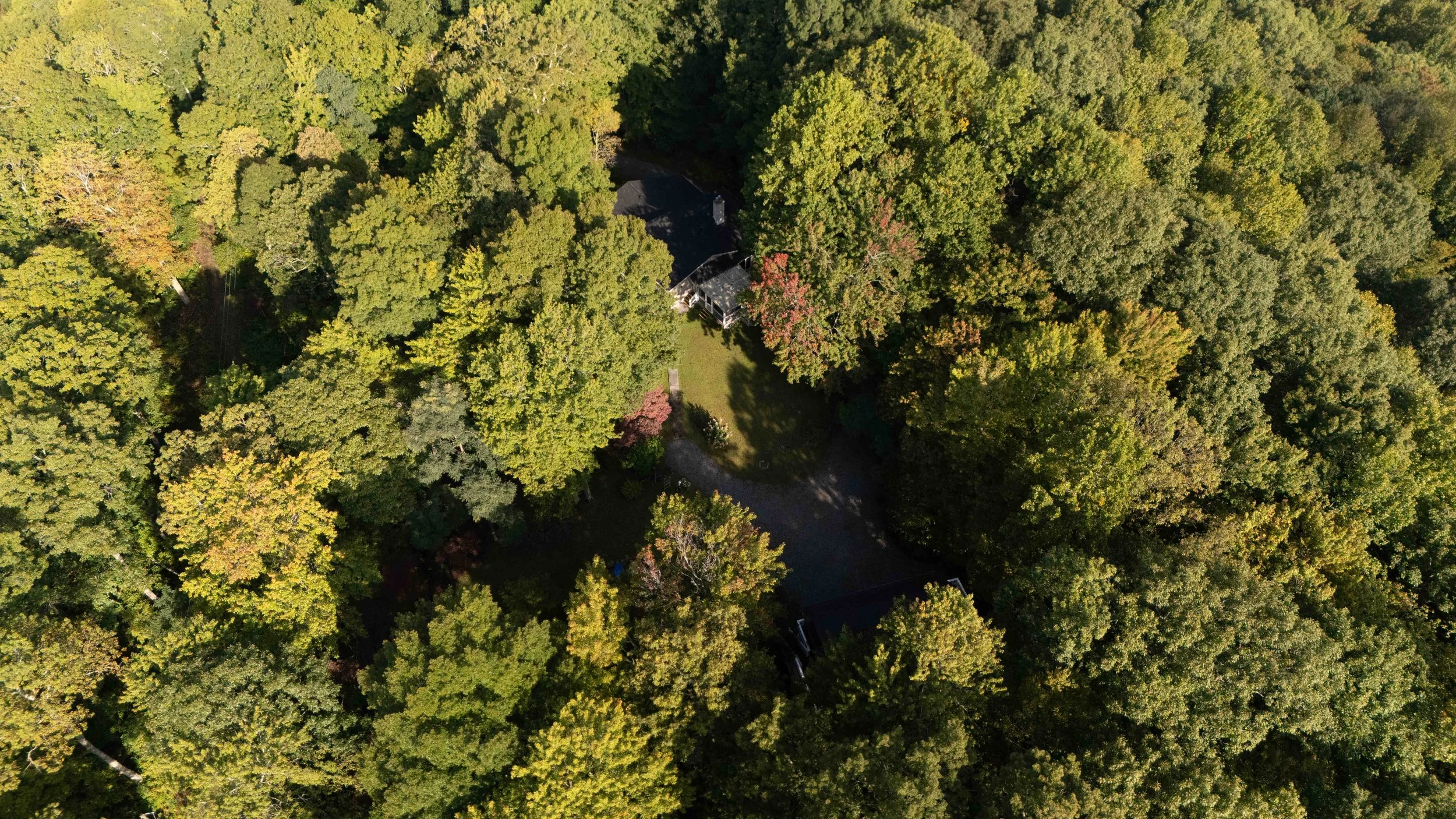An aerial view of a wooded area with dense green trees surrounding a house with a dark roof and a front yard, taken from above during daytime.