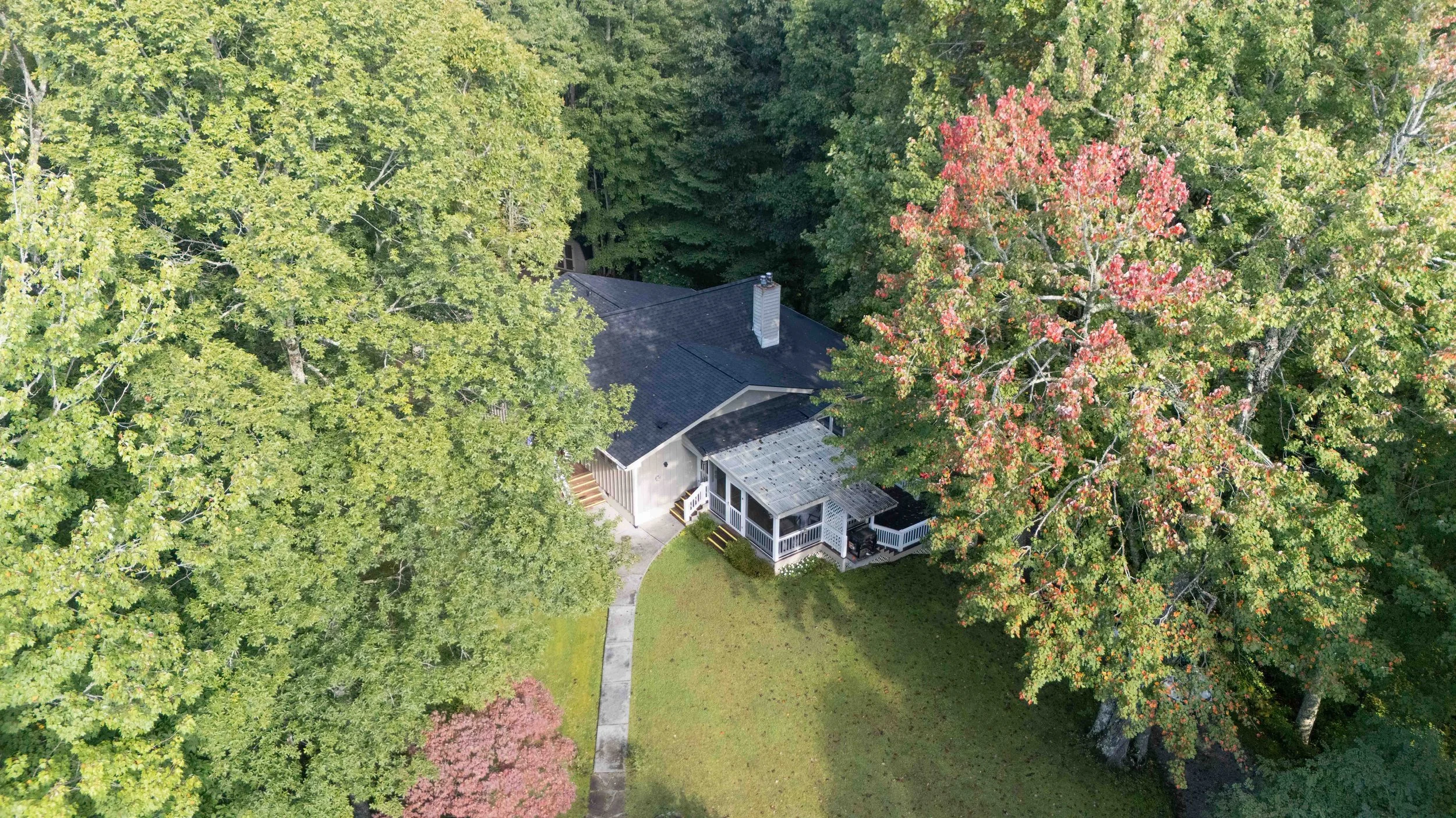 An aerial view of a house surrounded by green trees with some leaves turning red, a lawn, and a paved walkway leading to the front porch.