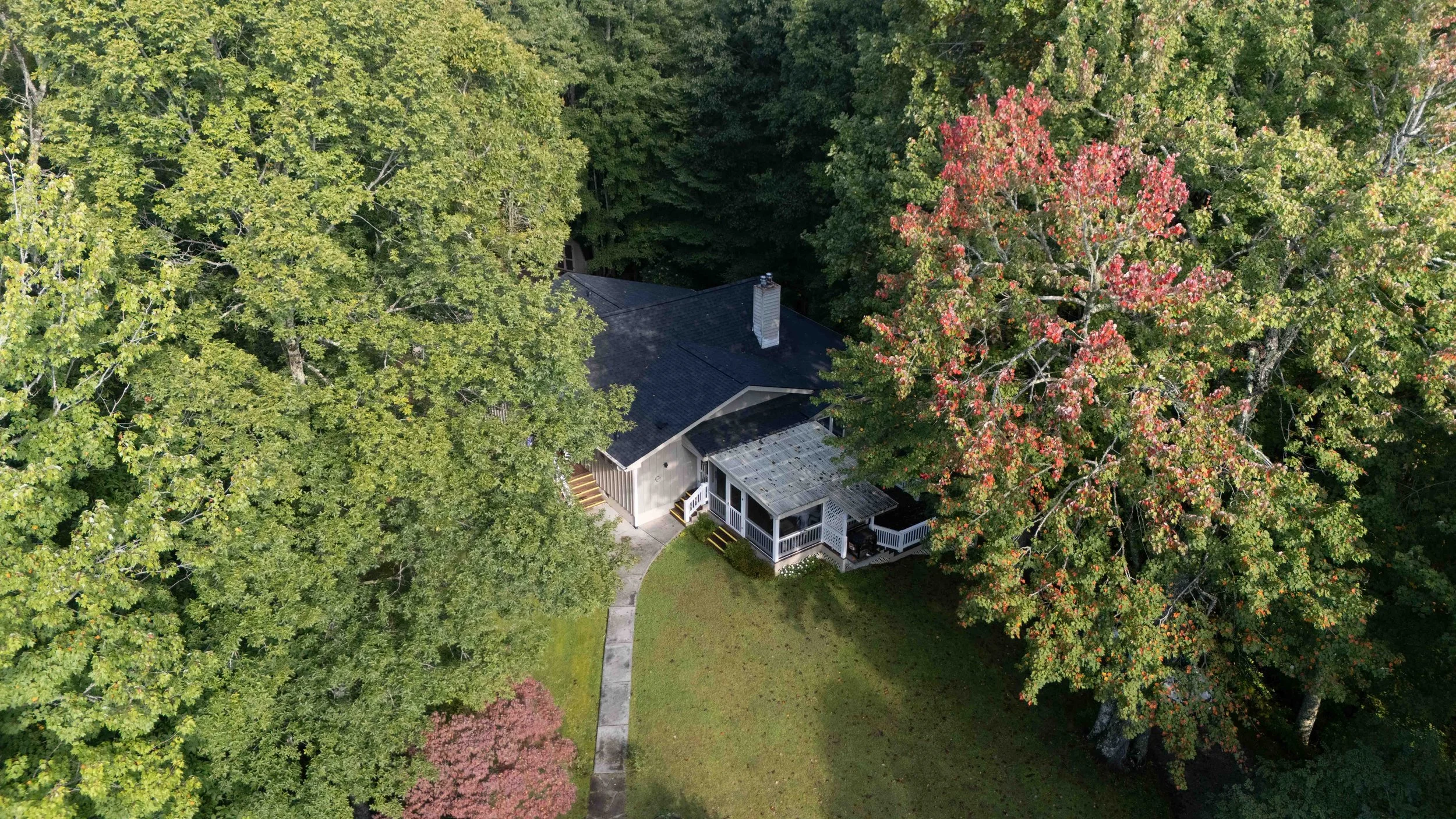 Aerial view of a house surrounded by lush trees and greenery, with a pathway leading to the front stairs.