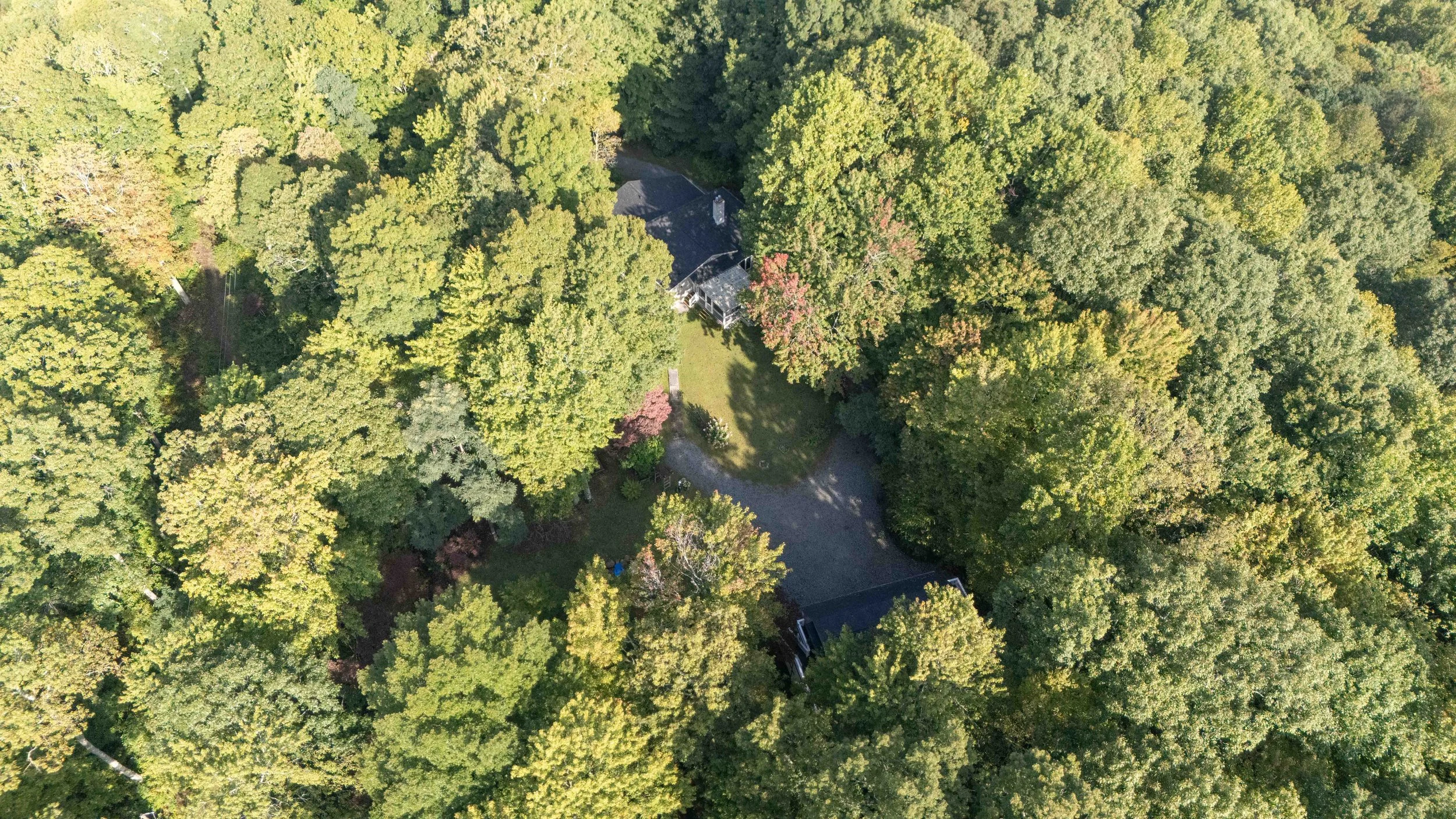 Aerial view of a house surrounded by dense green trees with a driveway leading to the house.