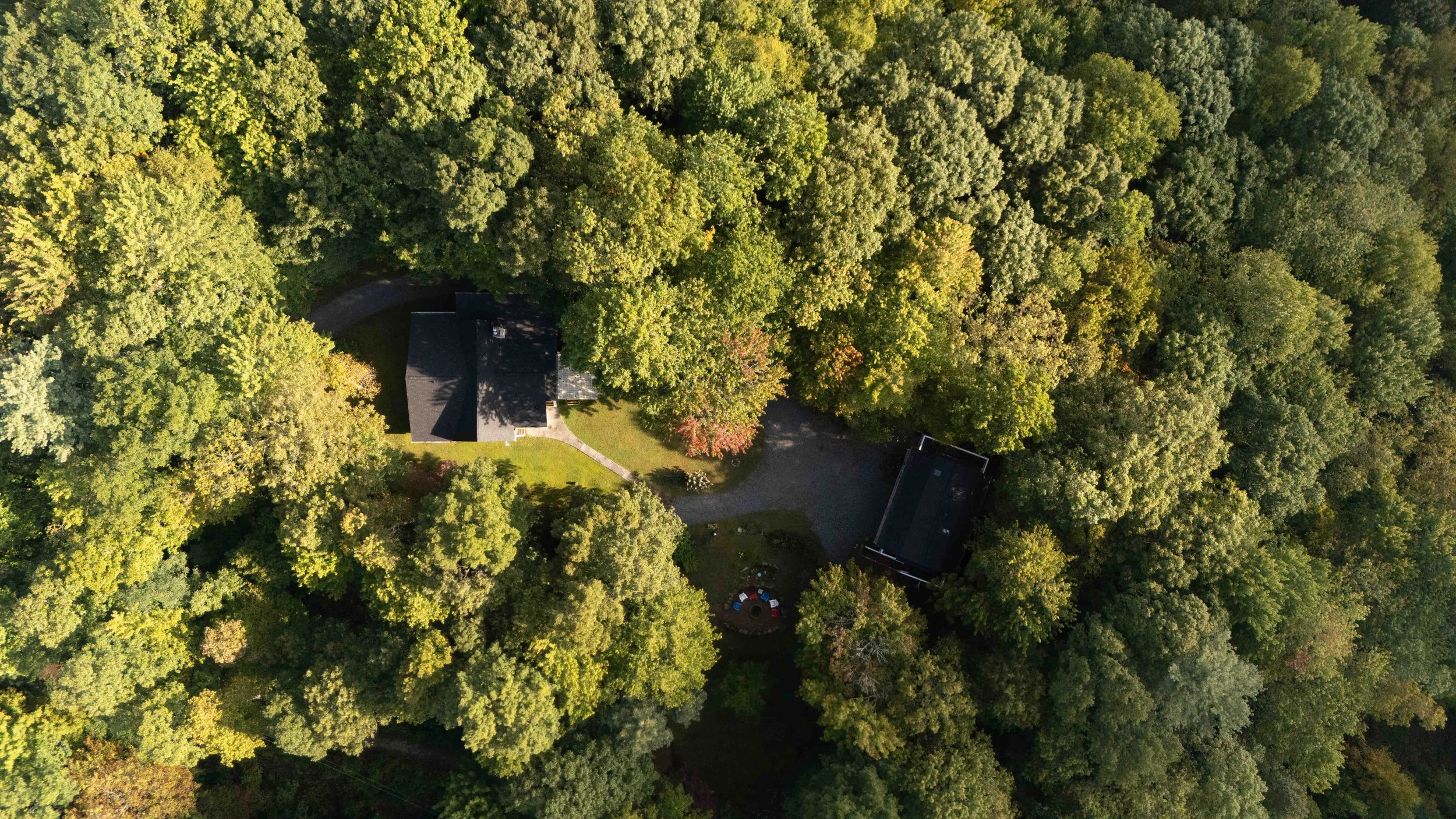 Aerial view of a house surrounded by dense forest with a winding driveway and a circular seating area in the yard.