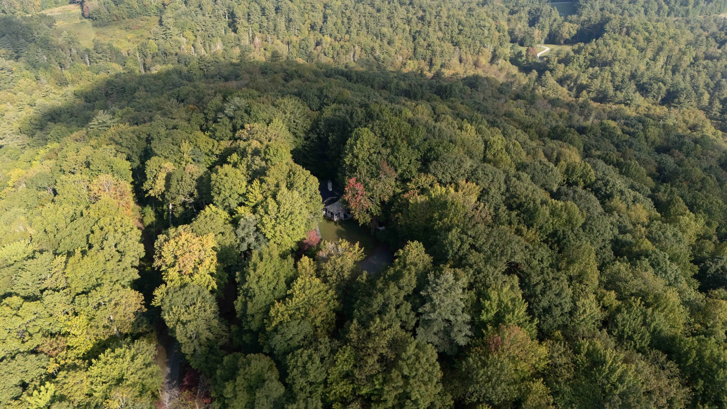 Aerial view of a forest with dense green trees surrounding a house.
